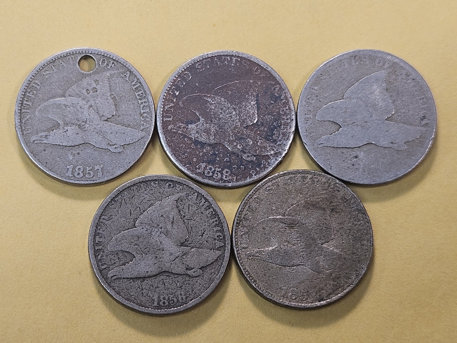 Five Circulated Flying Eagle Cents - 2