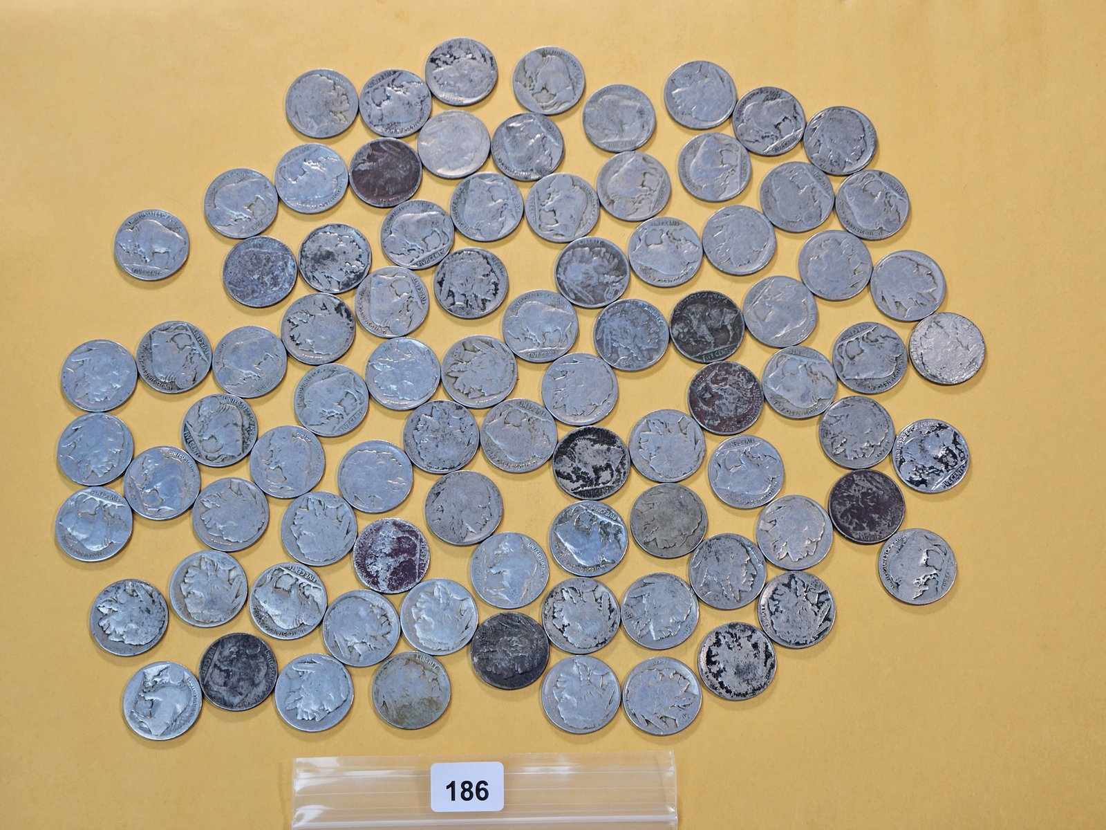 Eighty-six Mixed Buffalo Nickels (1 of 5)