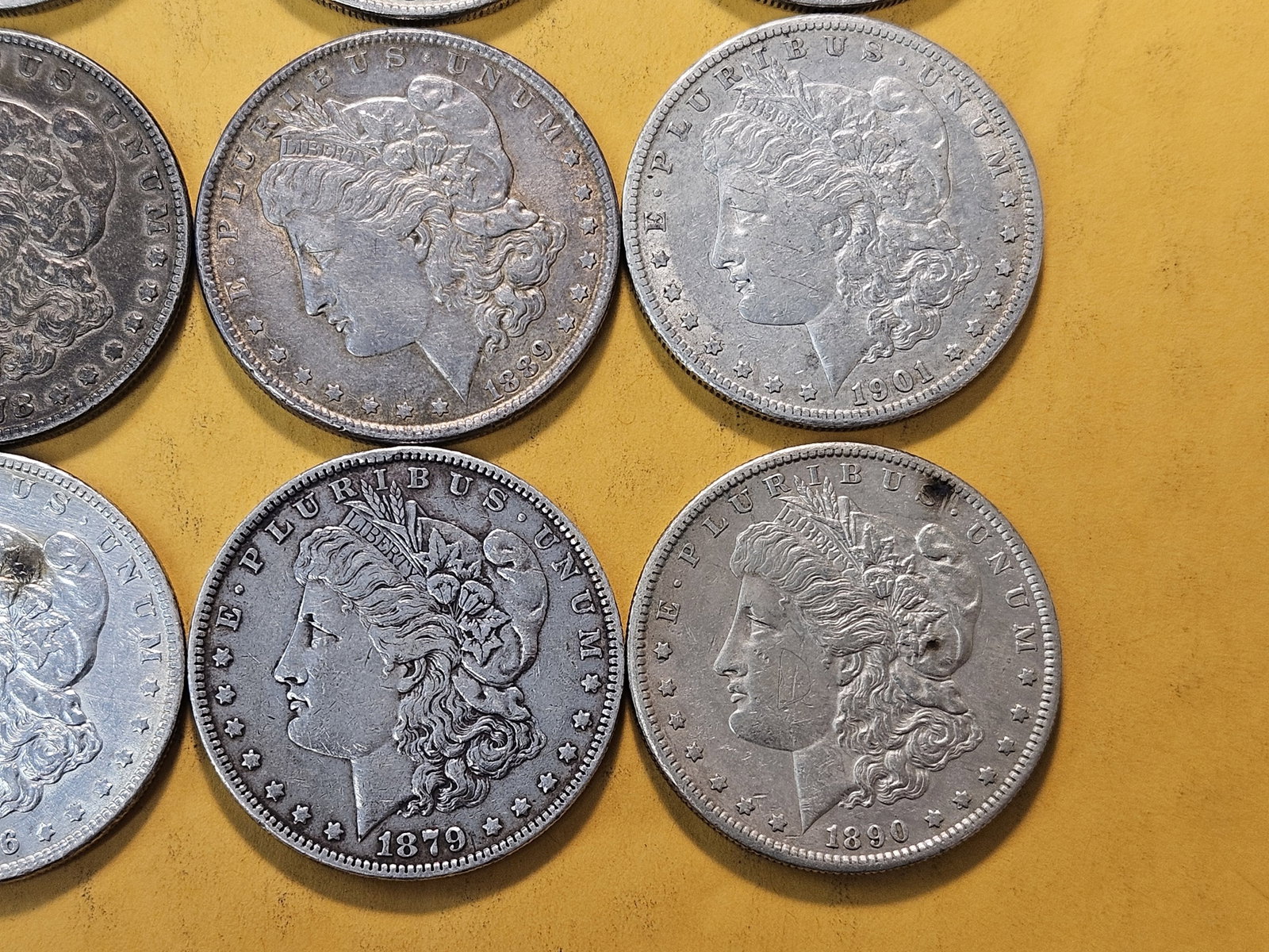 *FULL ROLL* Twenty Morgan Silver Dollars - 5