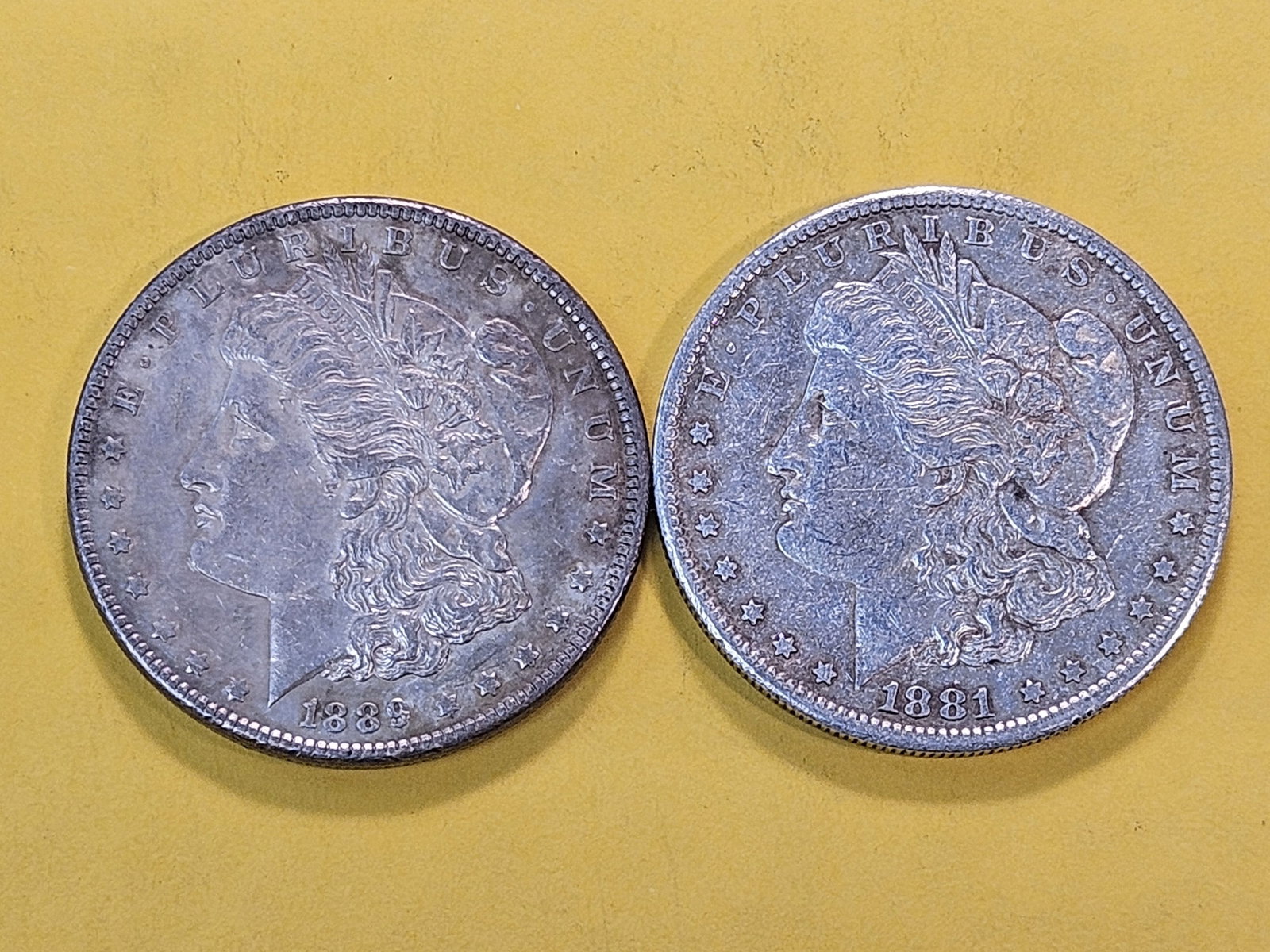 Two About Uncirculated Morgan Silver Dollars - 2