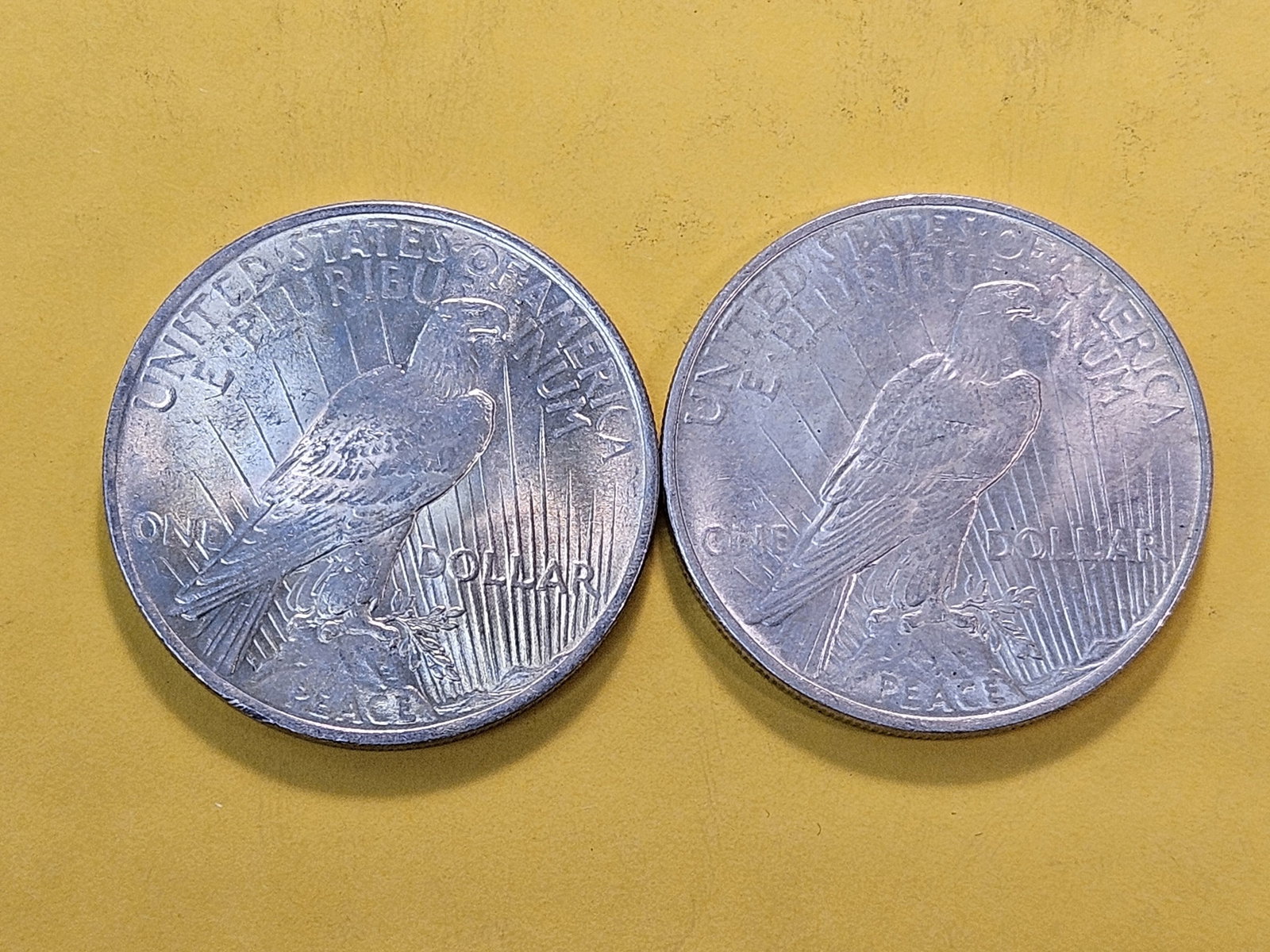 Two About Uncirculated plus 1922 Peace Silver Dollars - 4
