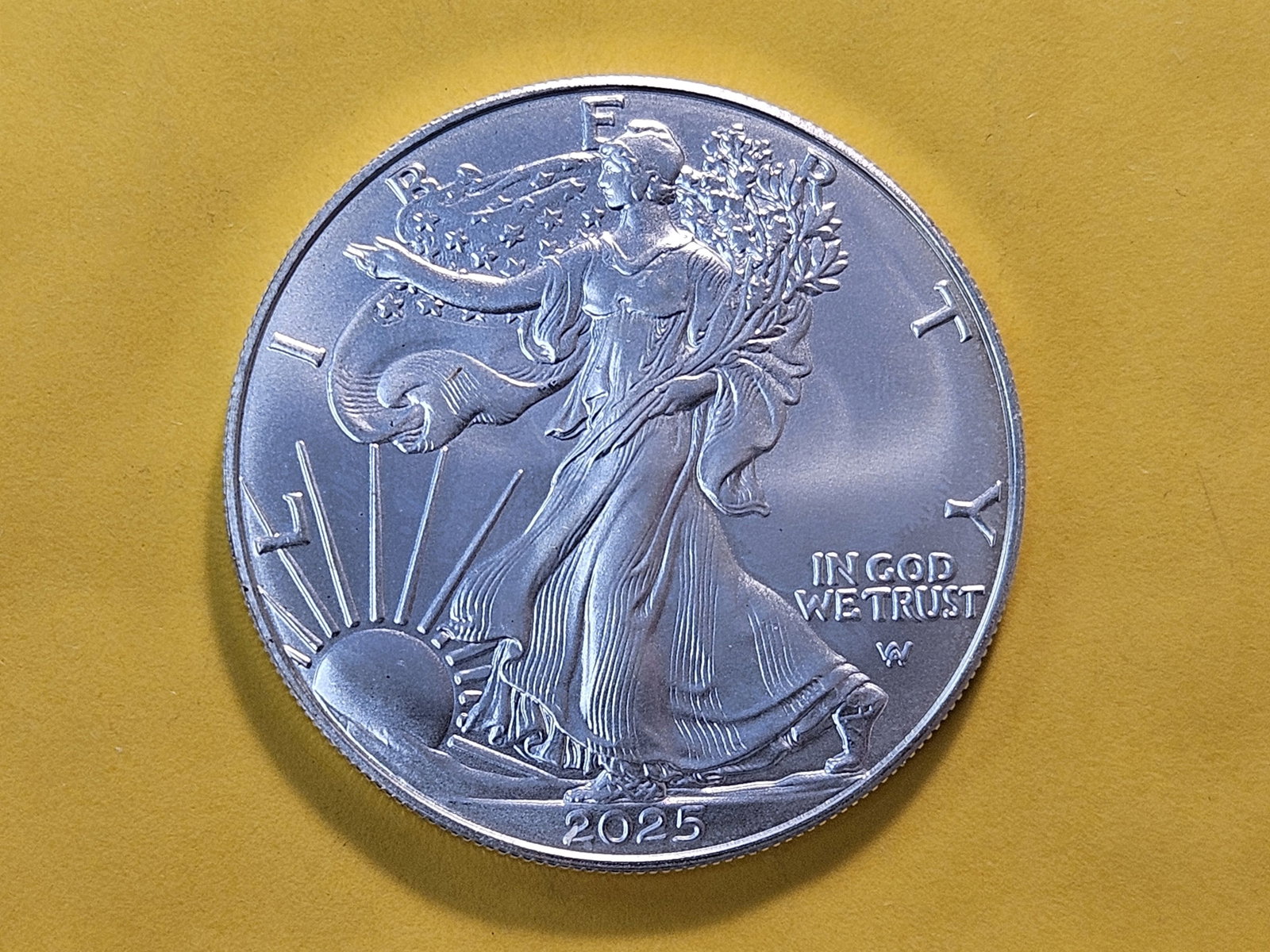 GEM Brilliant Uncirculated 2025 American Silver Eagle (1 of 4)