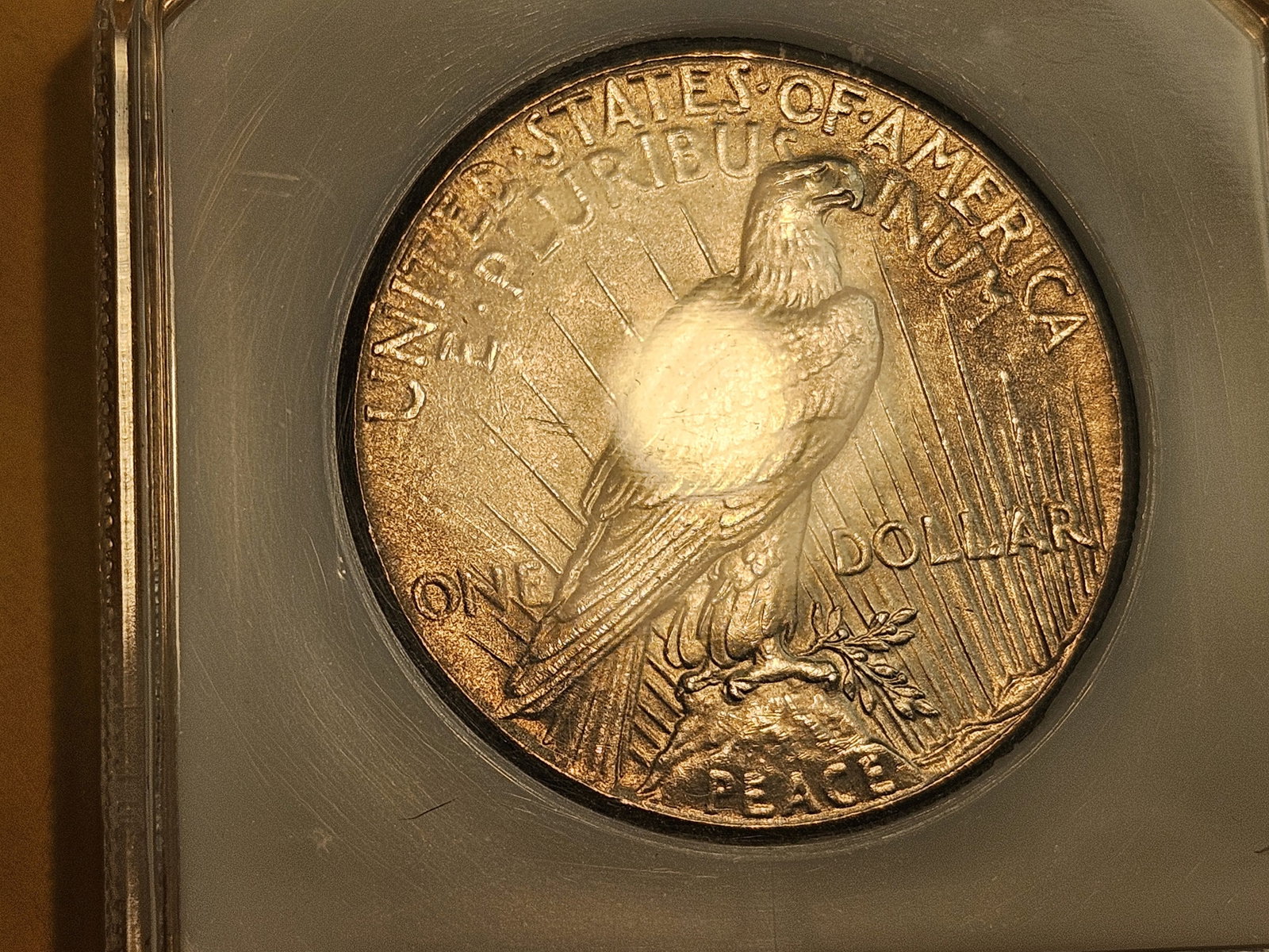 PCI 1927 Peace Silver Dollar in Mint State 62 PQ - 6