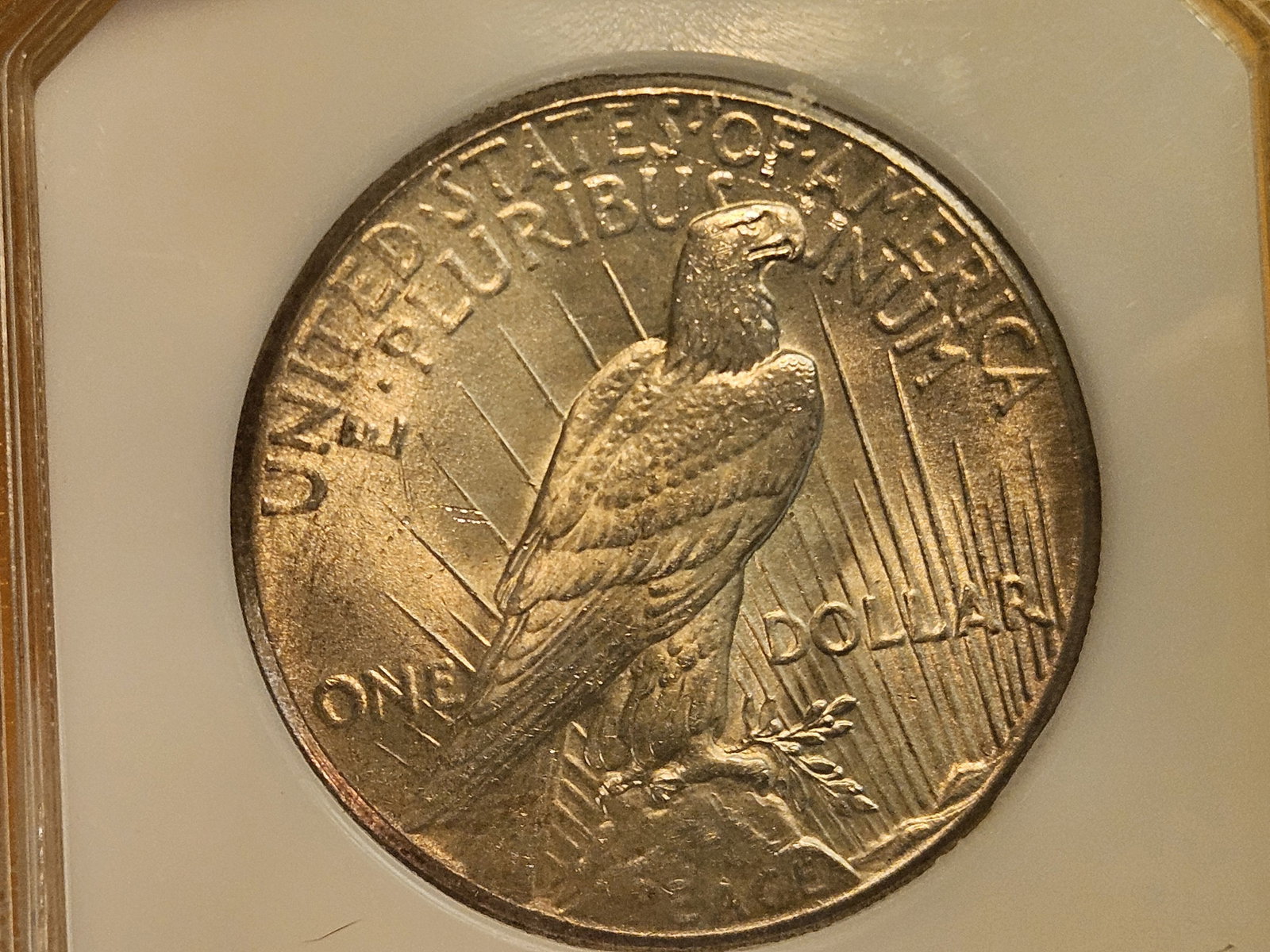 PCI 1927 Peace Silver Dollar in Mint State 62 PQ - 7
