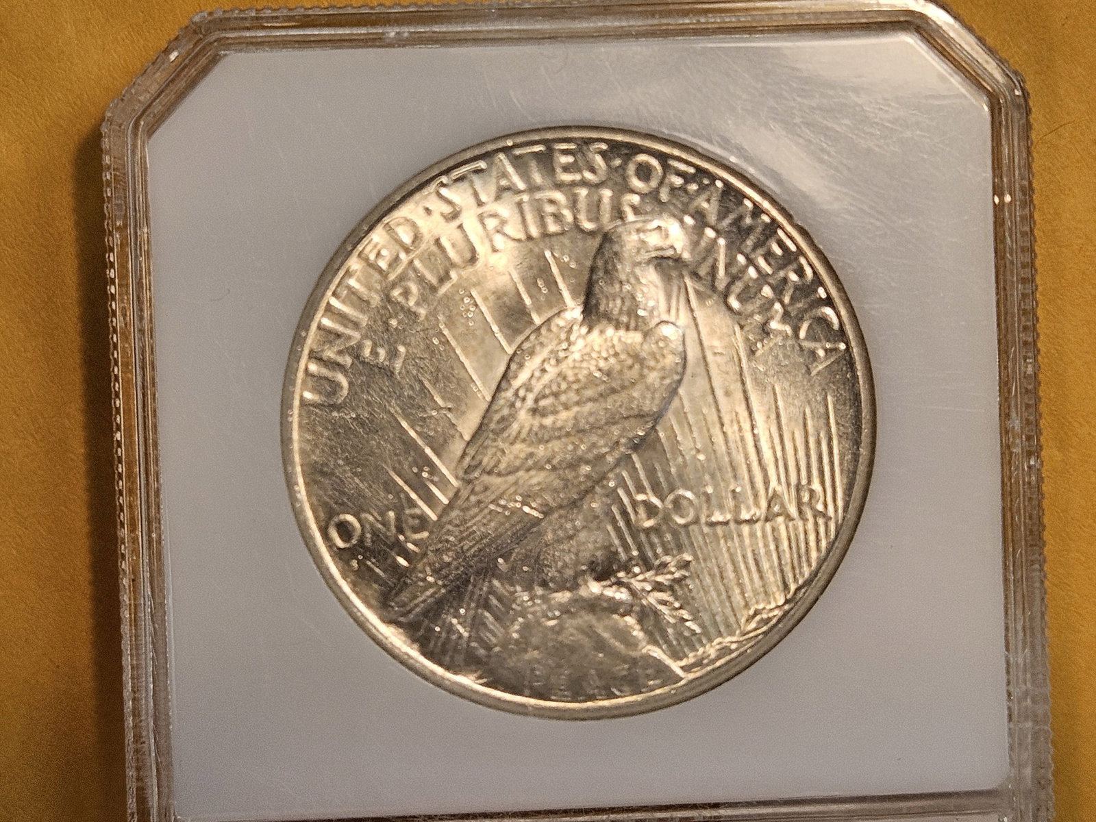 PCI 1926-S Peace Silver Dollar in Brilliant About Uncirculated - 55 - 4