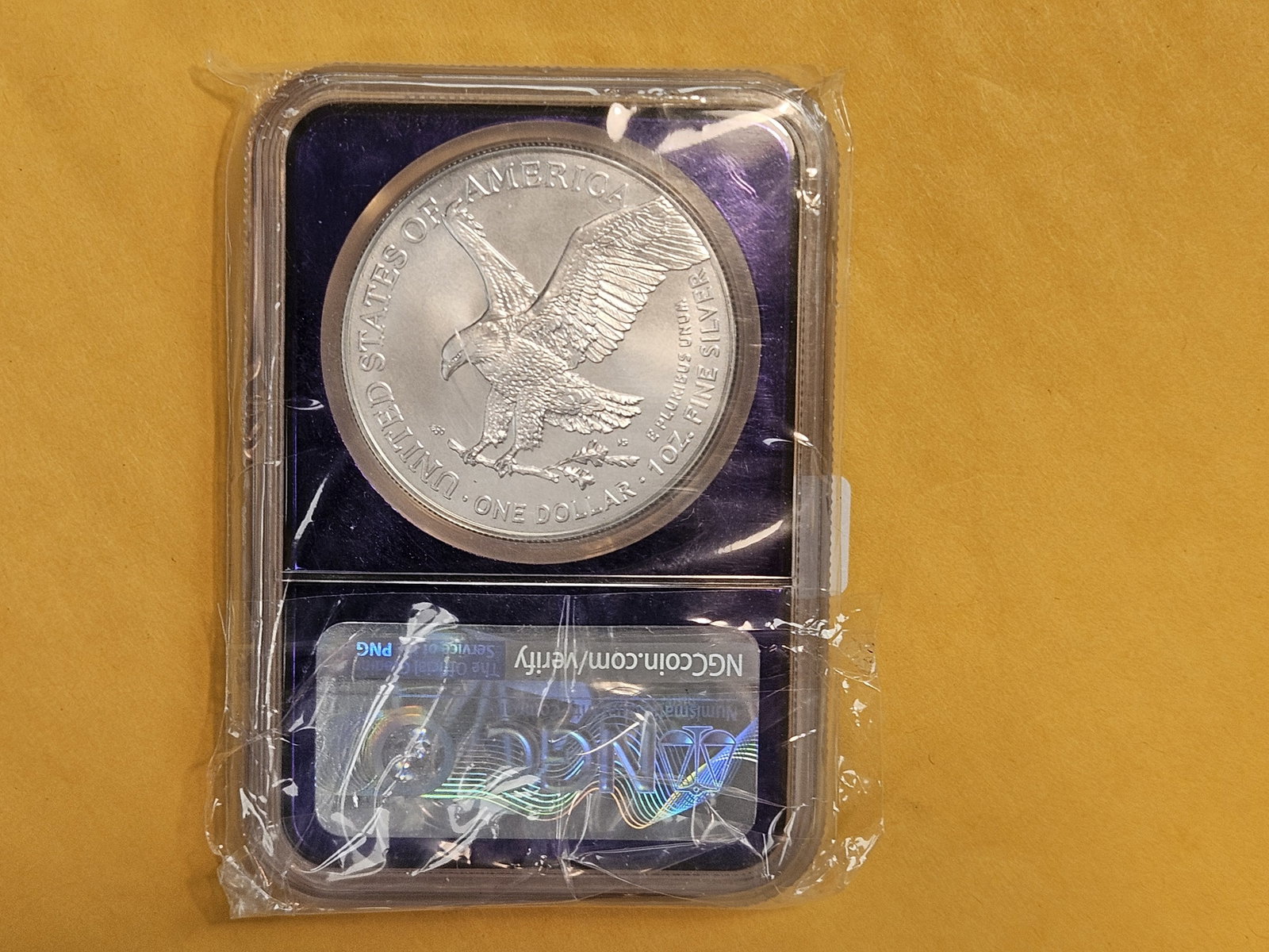 Eagle Privy Mark!! NGC 2025(P) American Silver Eagle - 3