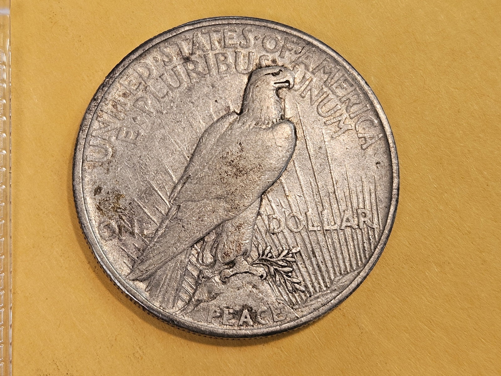 ** KEY DATE ** 1921 Peace Silver Dollar in Extra Fine - 3