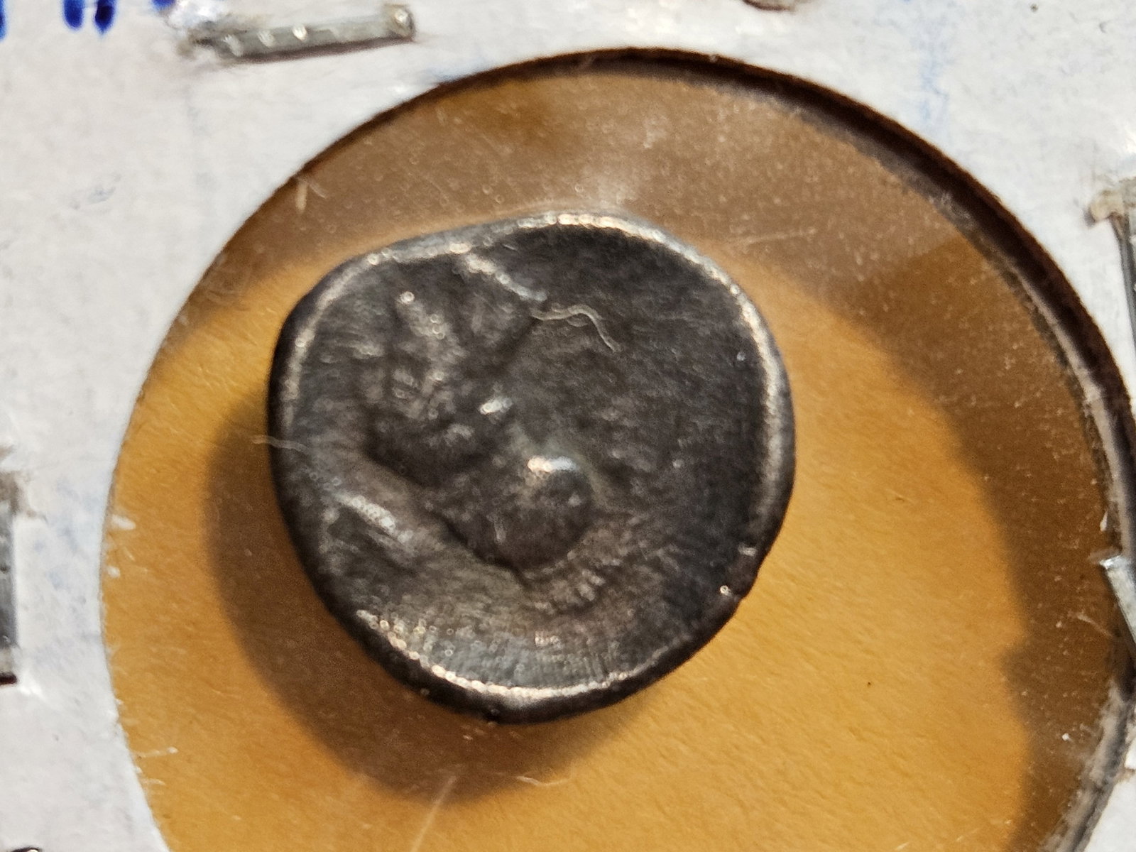 ANCIENT! Greece Mitletos c.550 BC - 4