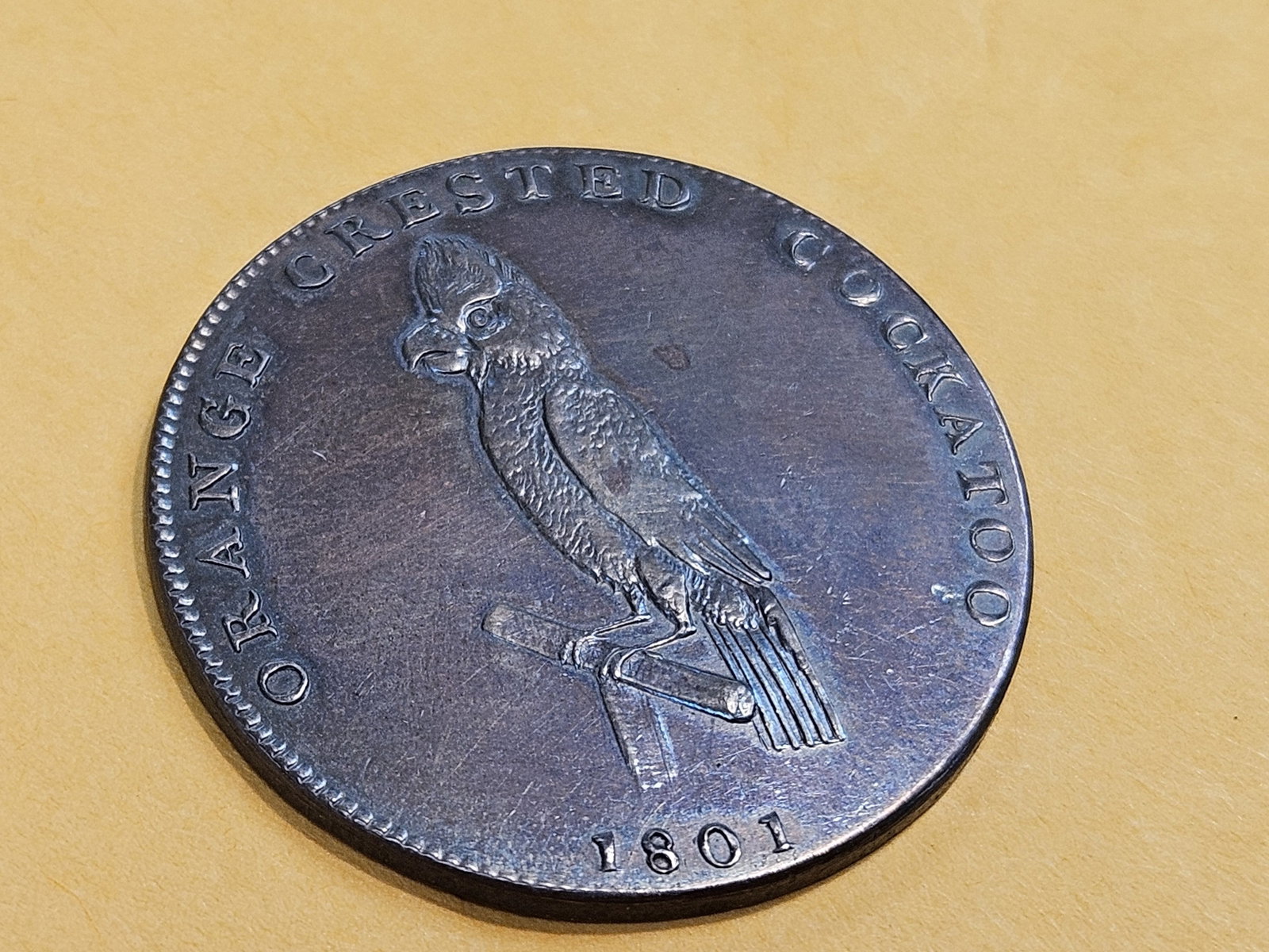 CONDER! GEM Prooflike 1801 Conder Token - 3