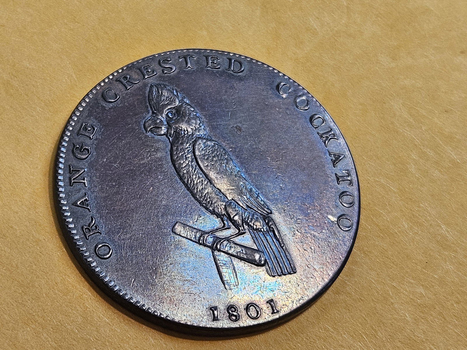 CONDER! GEM Prooflike 1801 Conder Token - 4
