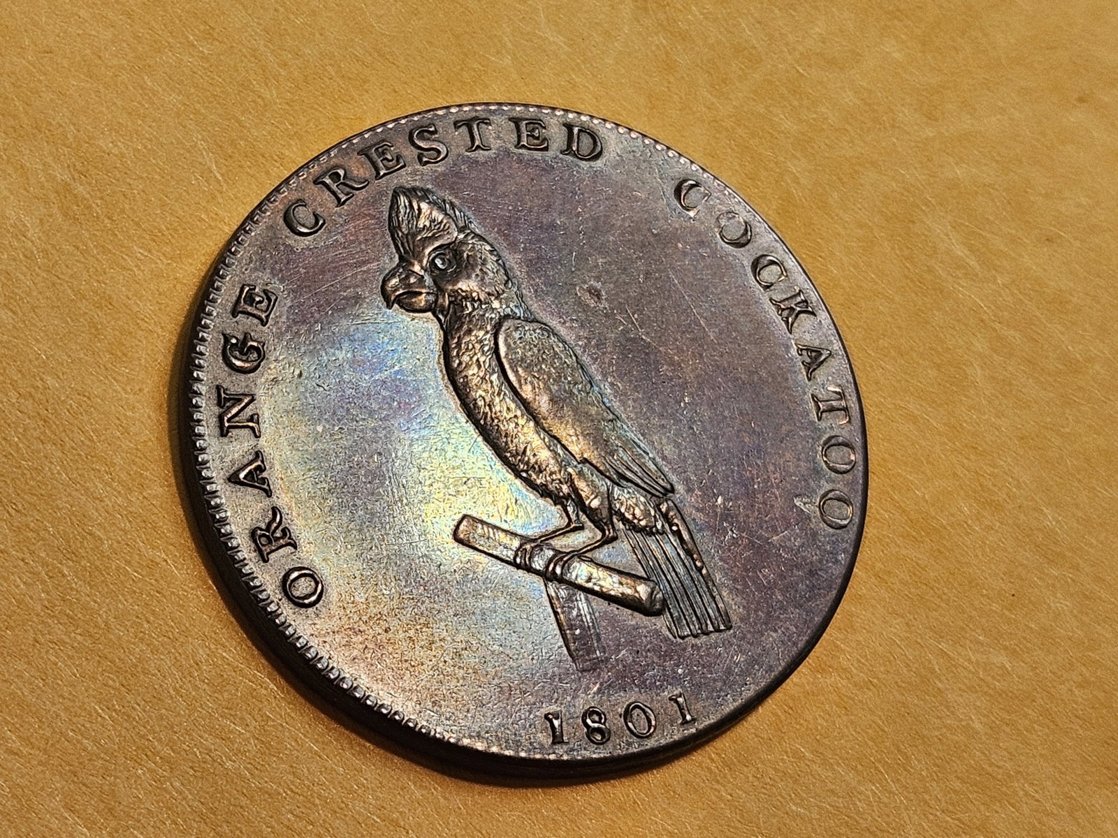 CONDER! GEM Prooflike 1801 Conder Token - 5