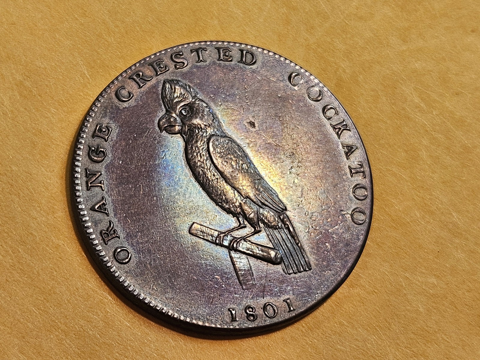 CONDER! GEM Prooflike 1801 Conder Token - 6
