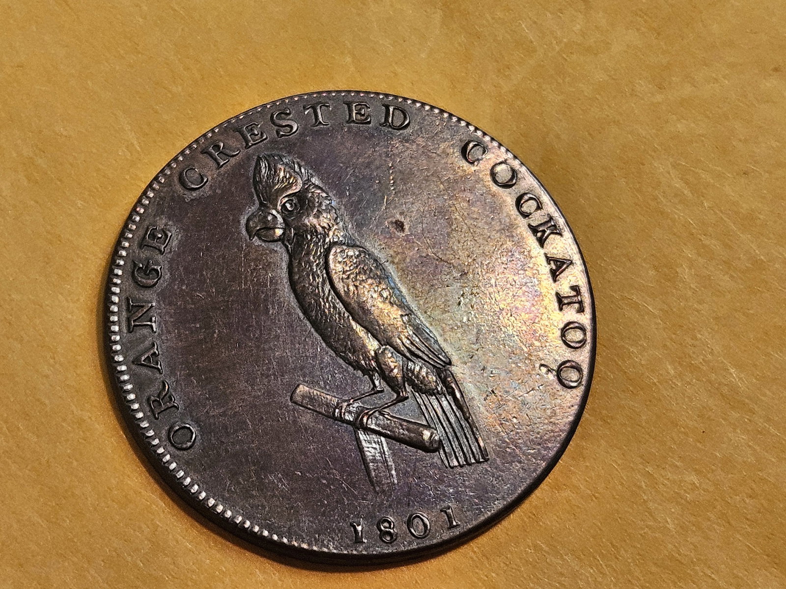 CONDER! GEM Prooflike 1801 Conder Token - 7