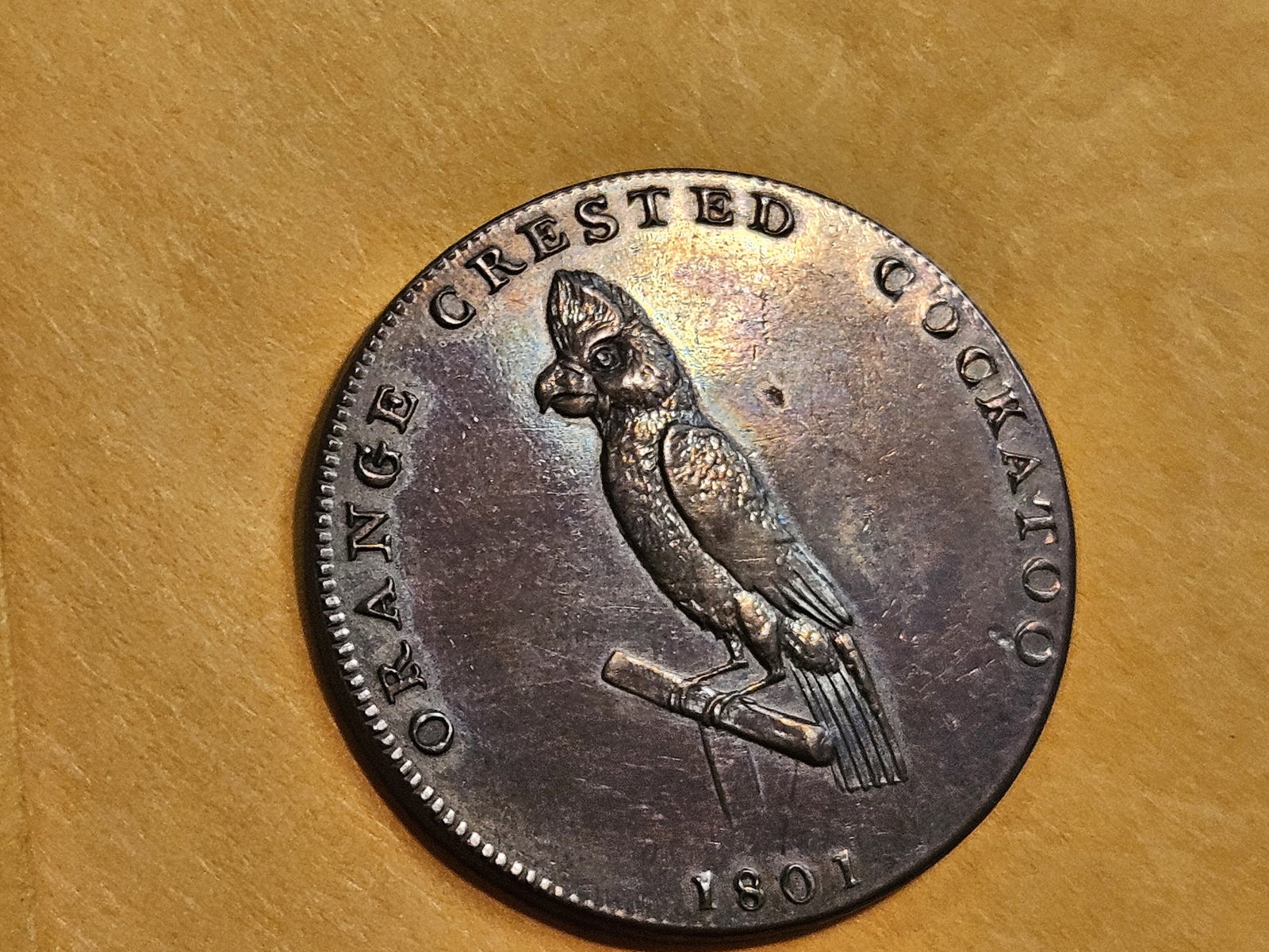 CONDER! GEM Prooflike 1801 Conder Token - 8