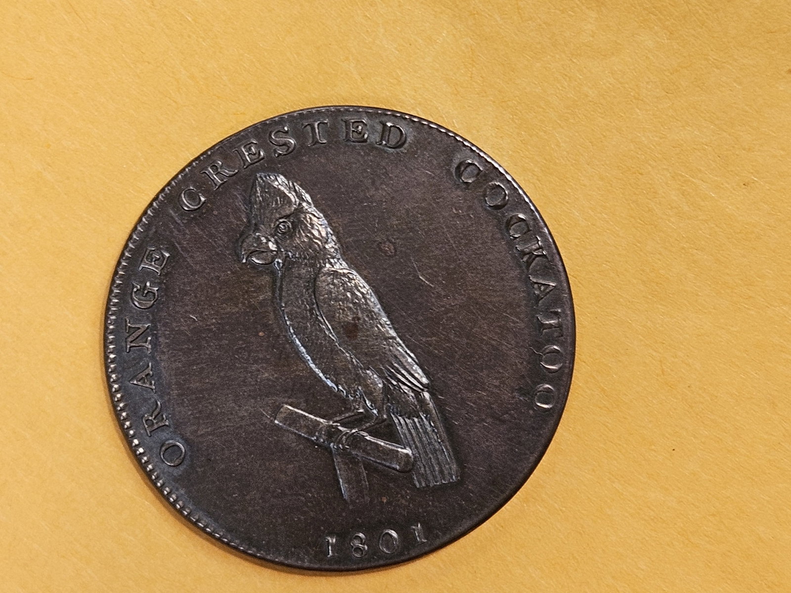 CONDER! GEM Prooflike 1801 Conder Token - 9