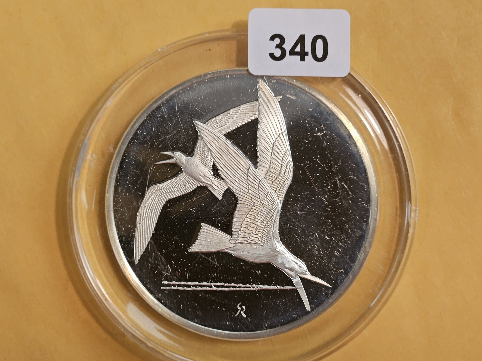 GEM Proof "Roberts Birds" Silver Medal: 1971. Weighs 2.135 Troy ounces. Sterling Silver! Numbered #12 Black Skimmers