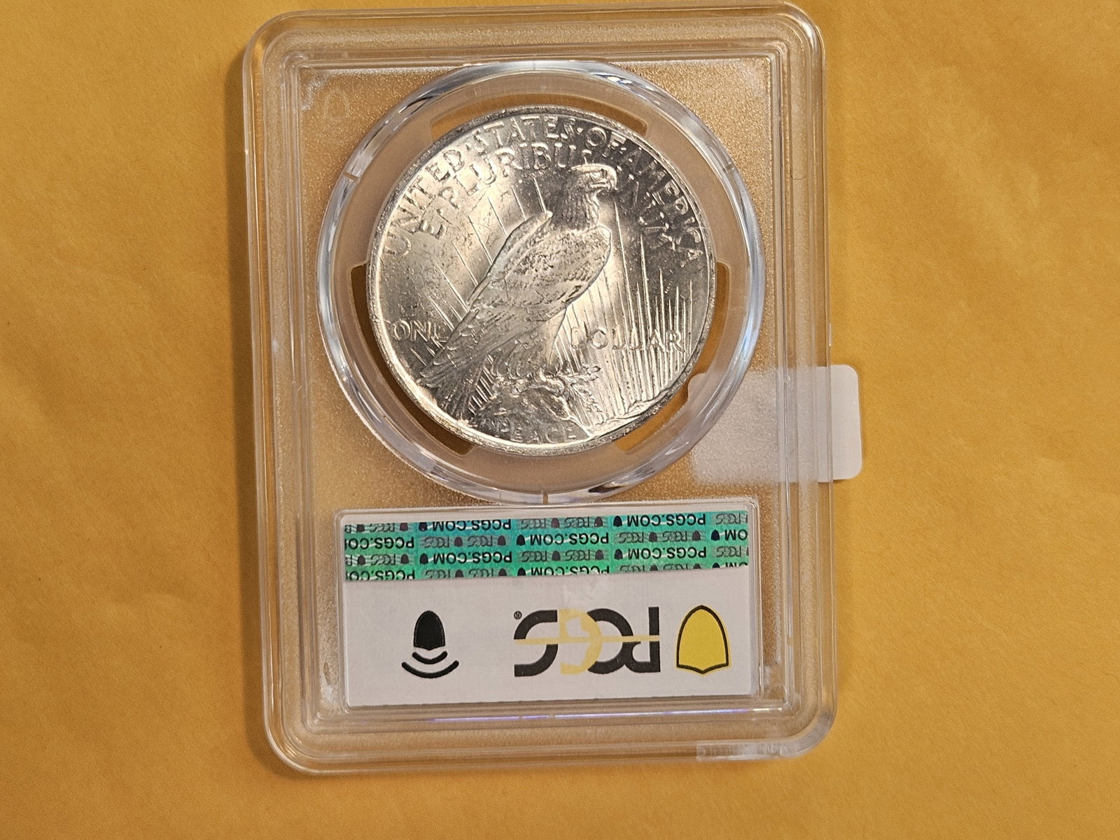 PCGS 1922 Peace Silver Dollar in Mint State 62 - 2