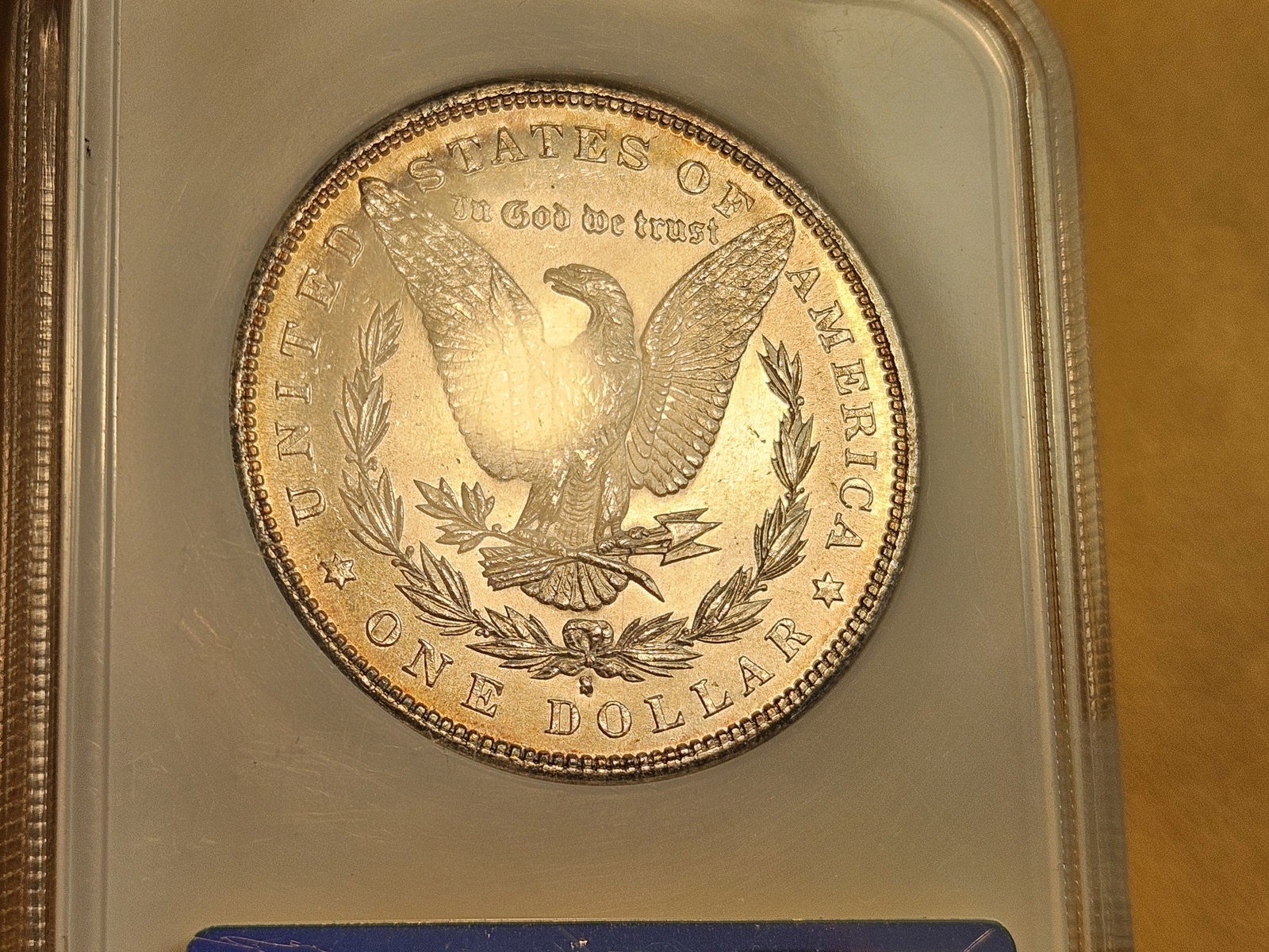 * NGC 1881-S Morgan Dollar in Mint State 64 - 11