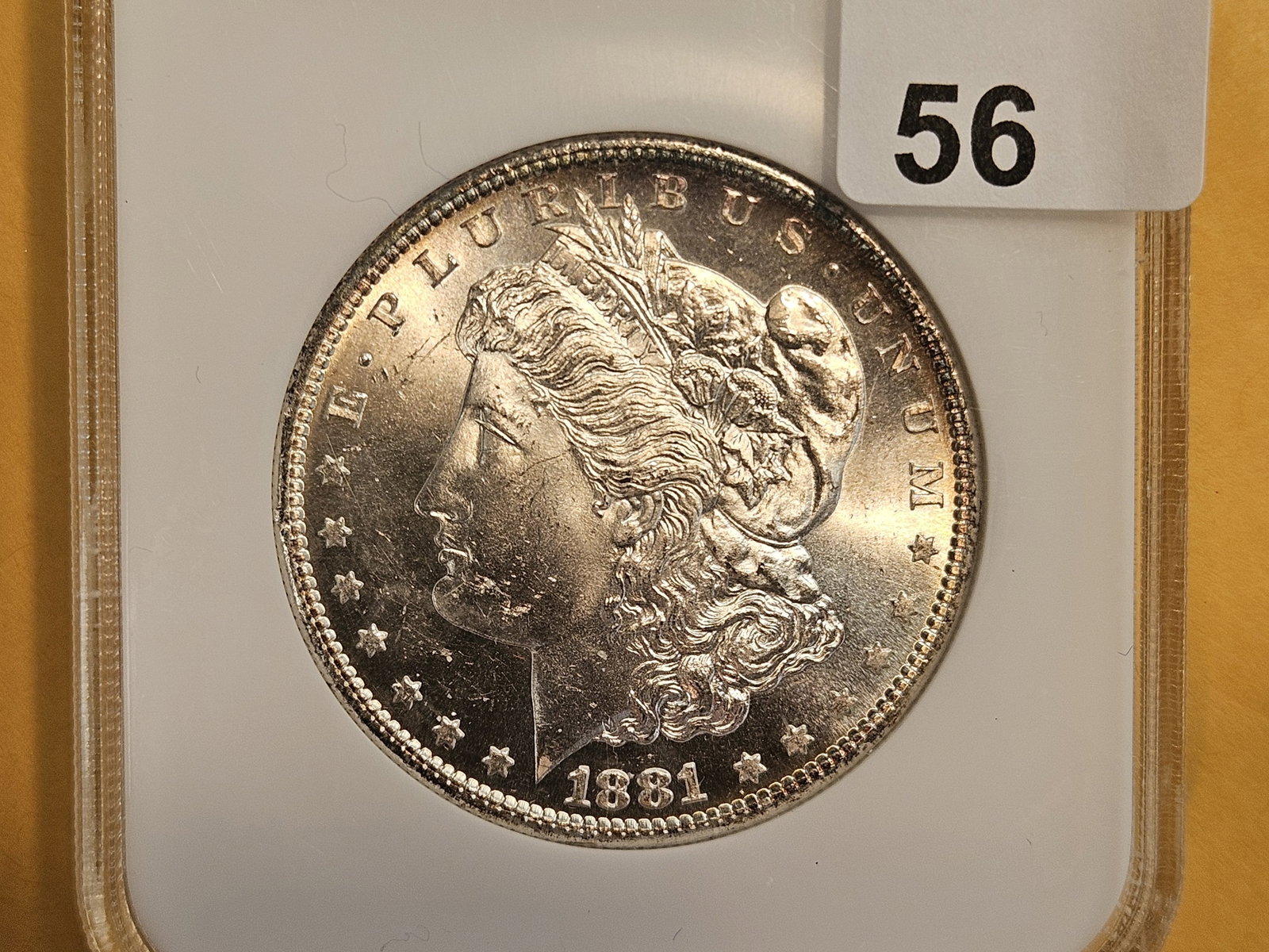 * NGC 1881-S Morgan Dollar in Mint State 64: Housed in an old NGC Fatty holder. Amazing contrast and toning! Possibly upgrade?