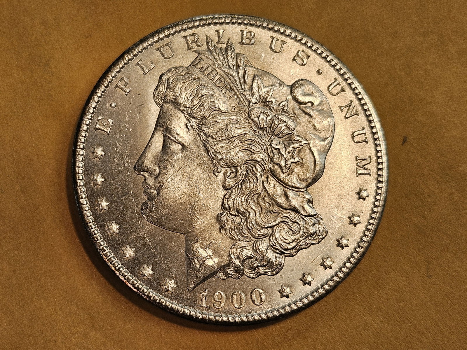 Very Choice Brilliant Uncirculated 1900 Morgan Dollar: Bright white!