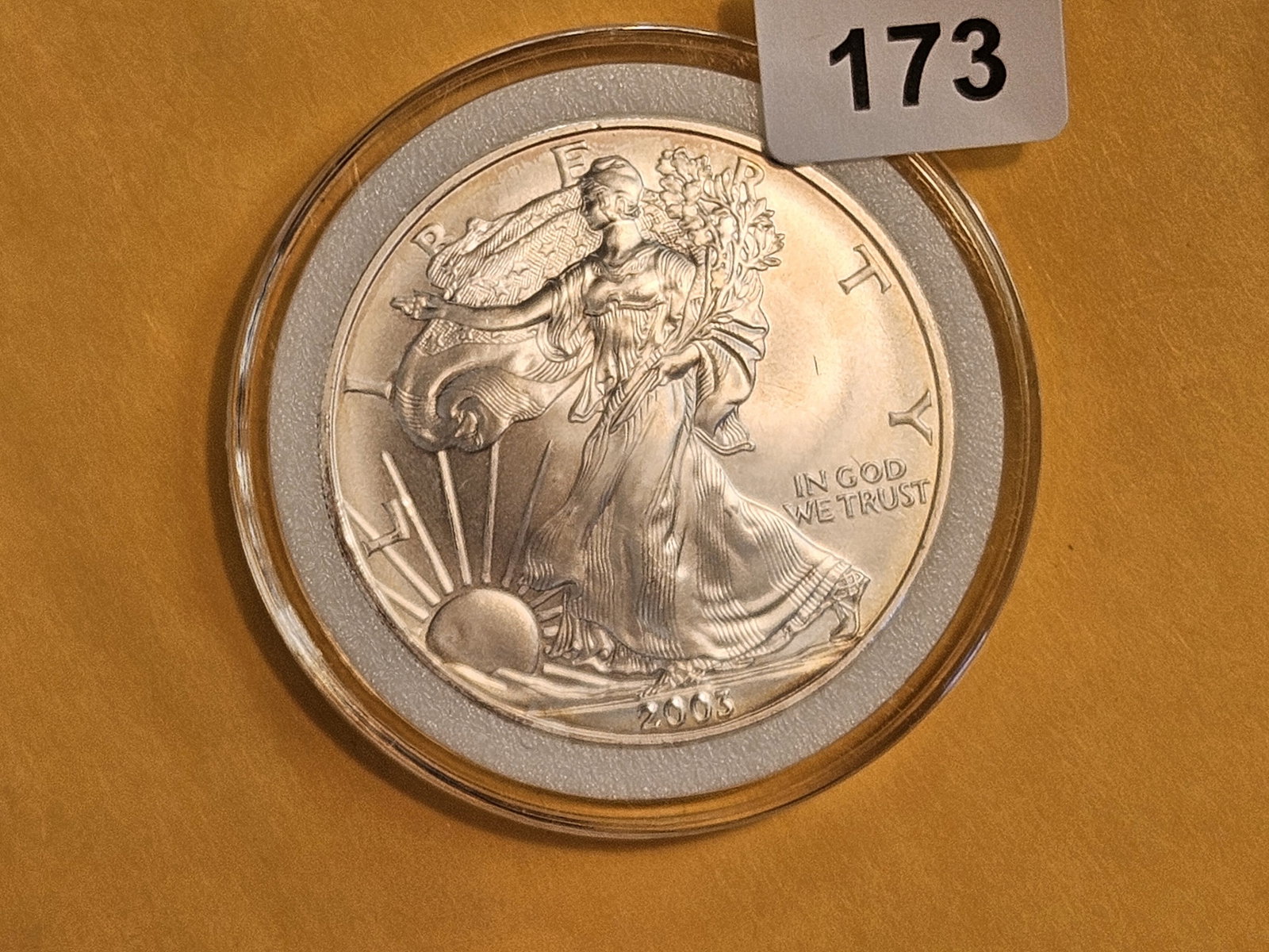 GEM Brilliant Uncirculated 2003 American Silver Eagle: In plastic capsule