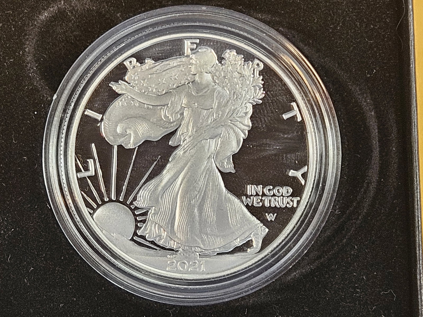 GEM Proof Deep Cameo 2021 American Silver Eagle - 2
