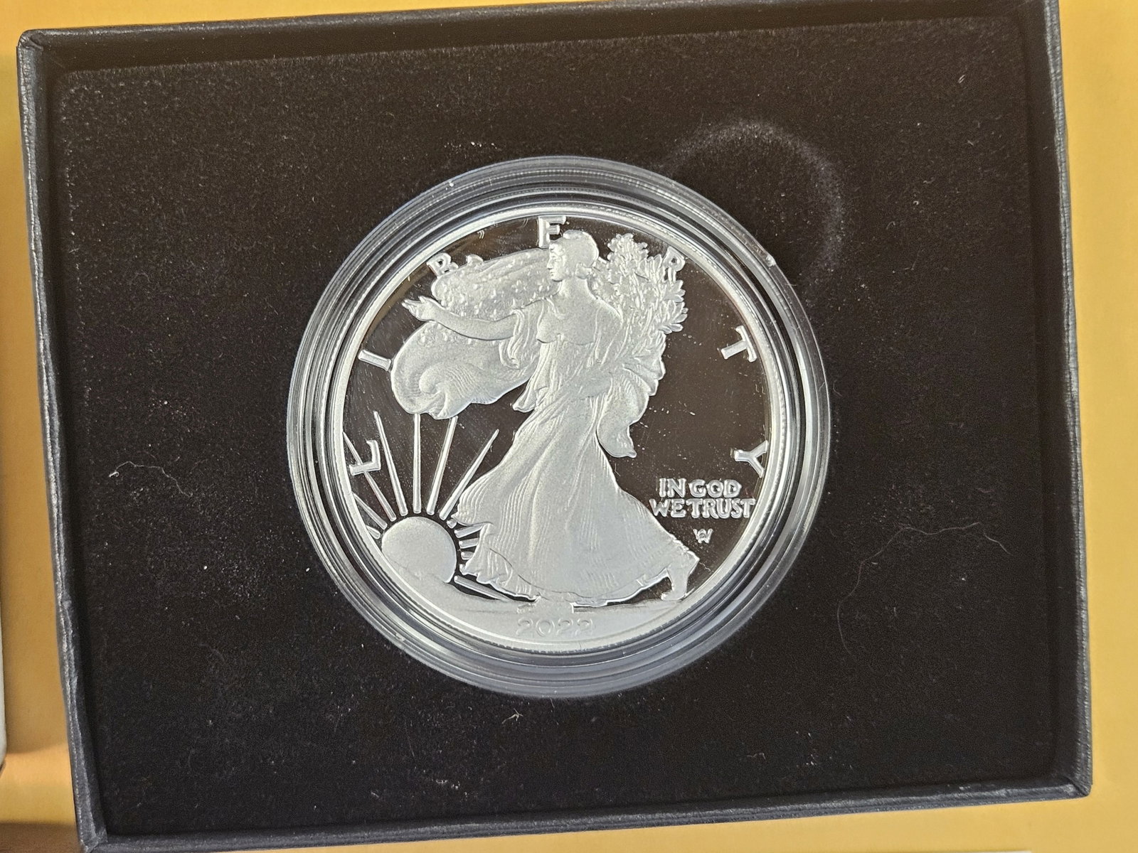 GEM Proof Deep Cameo 2022 American Silver Eagle - 2