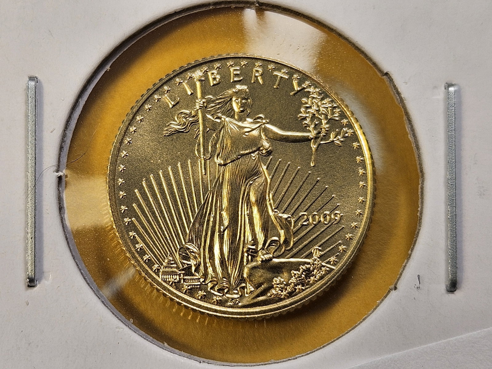 GOLD! GEM Brilliant Uncirculated 2009 Five Dollar Gold American Eagle: Roll Fresh!