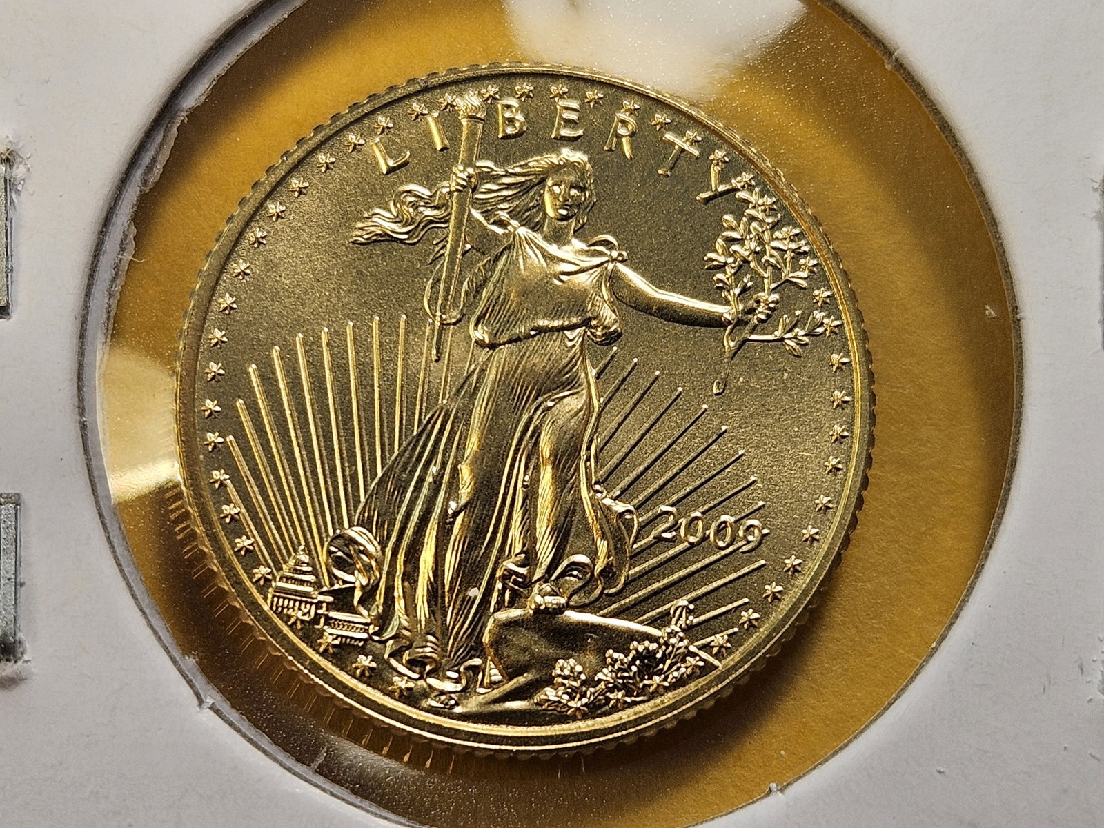 GOLD! GEM Brilliant Uncirculated 2009 Five Dollar Gold American Eagle (1 of 4)