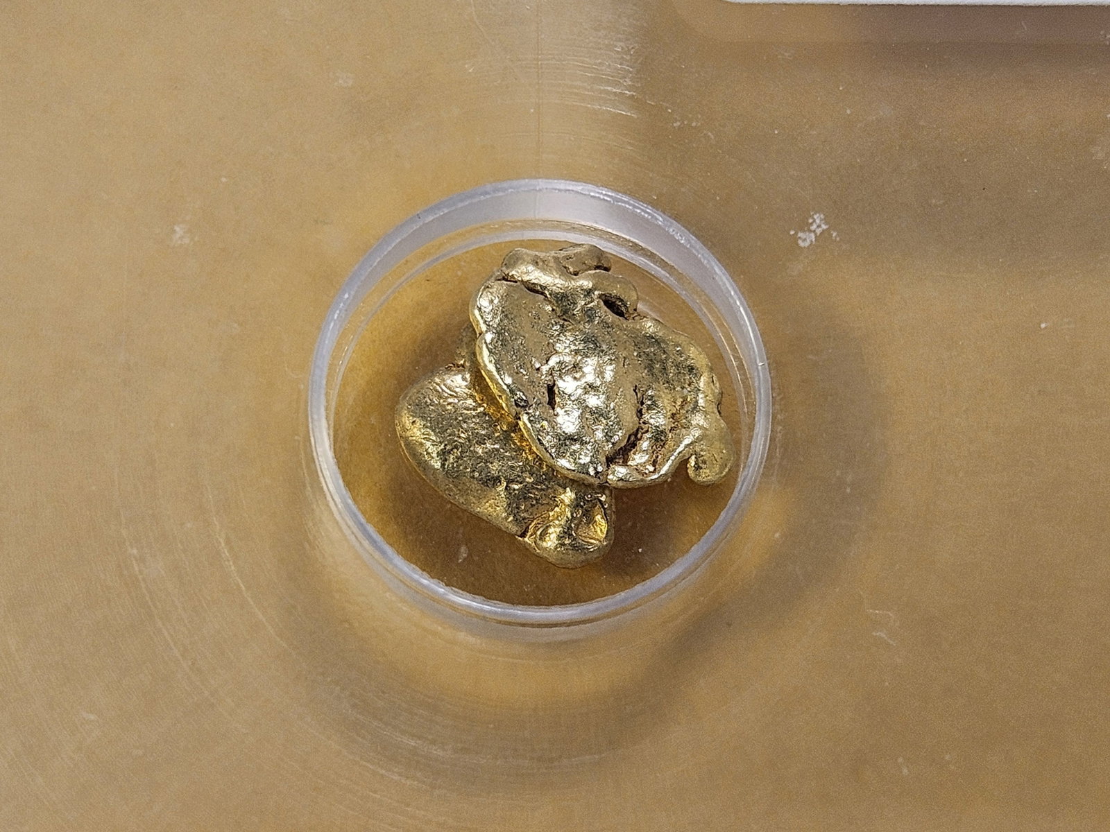 GOLD! ICG Slabbed Gold Nuggets in Genuine: 0.56 Grams of Gold Nuggets