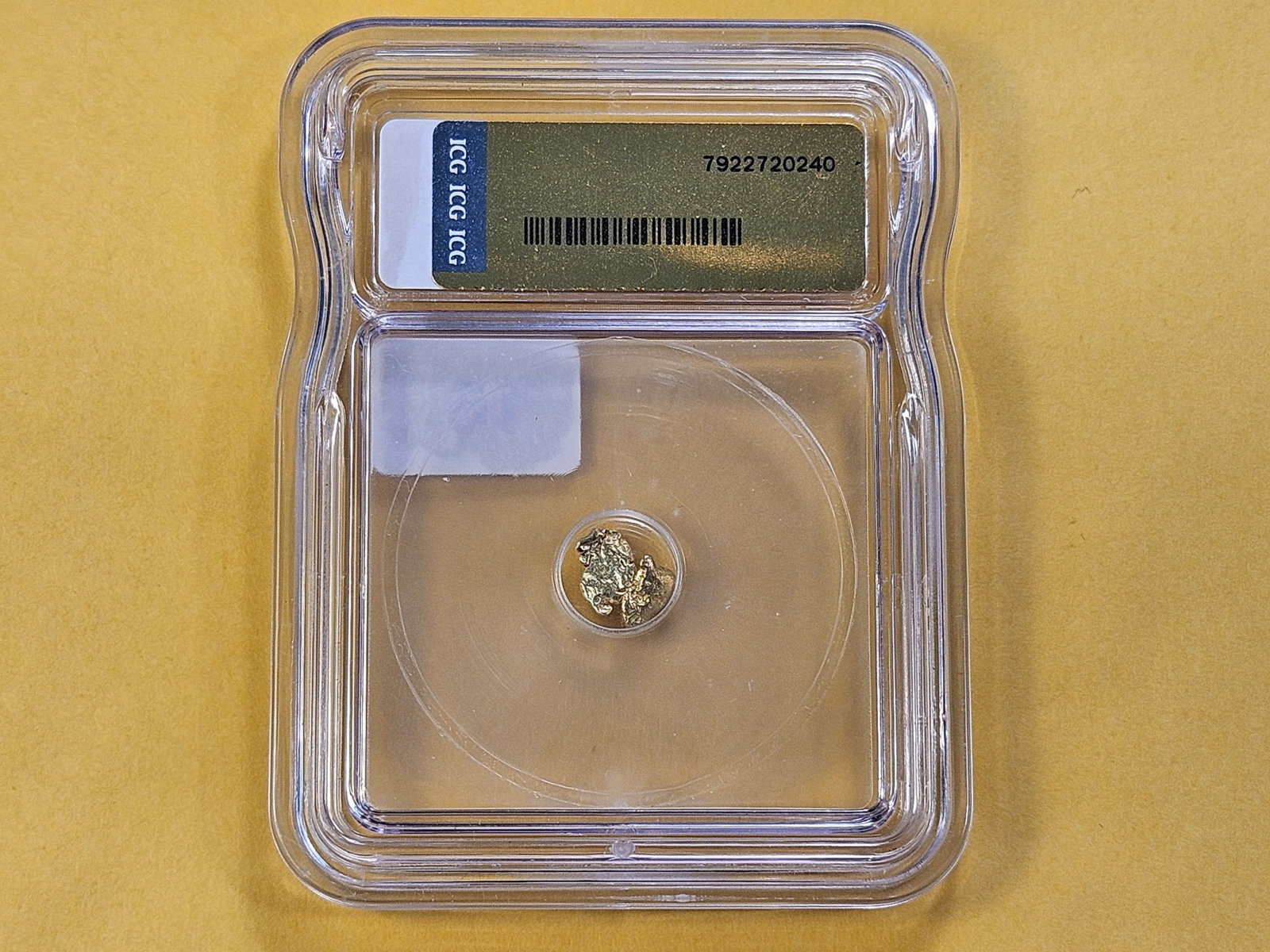 GOLD! ICG Slabbed Gold Nuggets in Genuine - 3