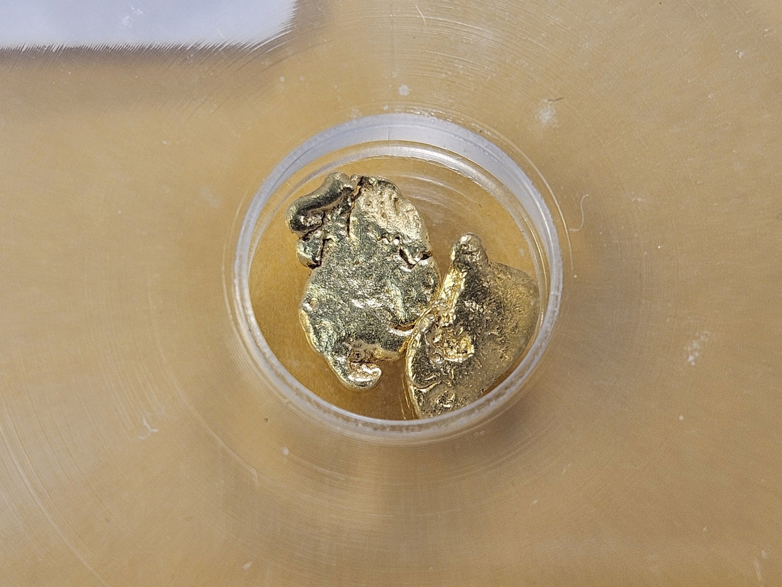 GOLD! ICG Slabbed Gold Nuggets in Genuine - 4
