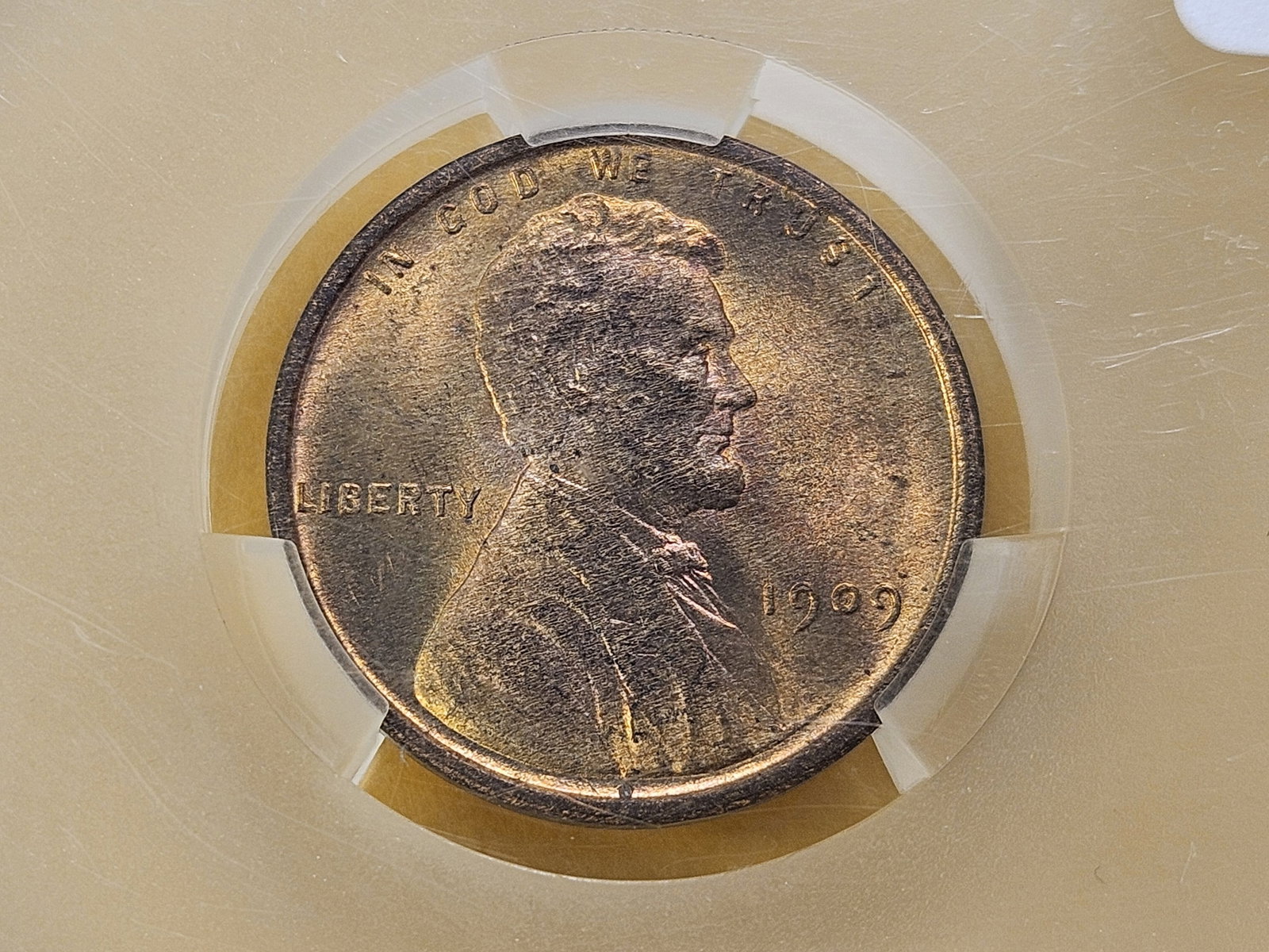 CACG 1909 VDB Lincoln Wheat Cent in Mint State 64 Red Brown: In Witterbrick Holder