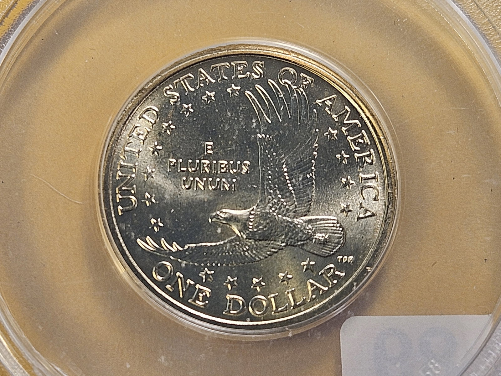 SUPERB GEM! Two ANACS Sacagawea Dollars in Mint State 67 - 5