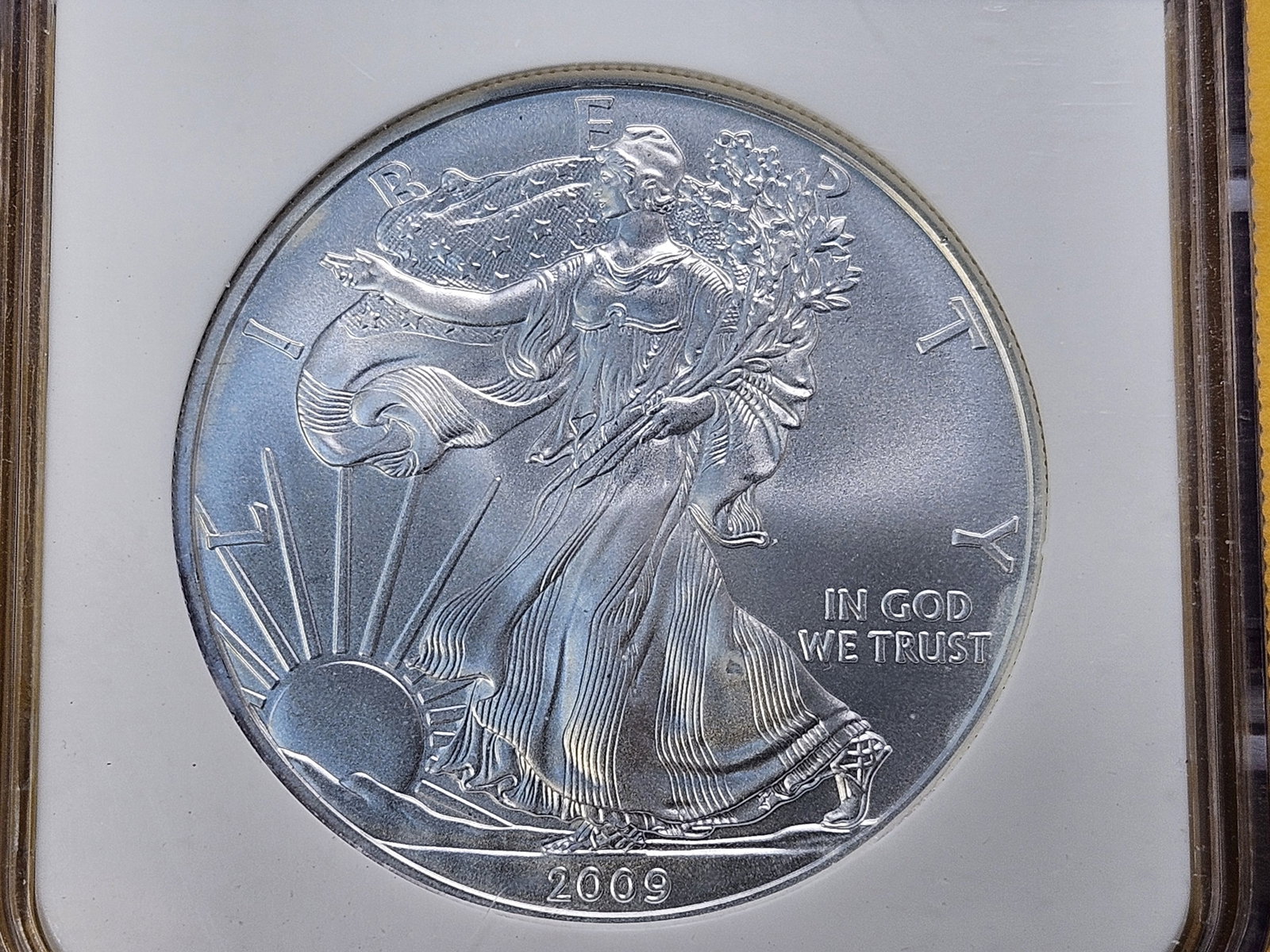SUPERB GEM! NGC 2009 American Silver Eagle in Mint State 69: In Early Release Holder