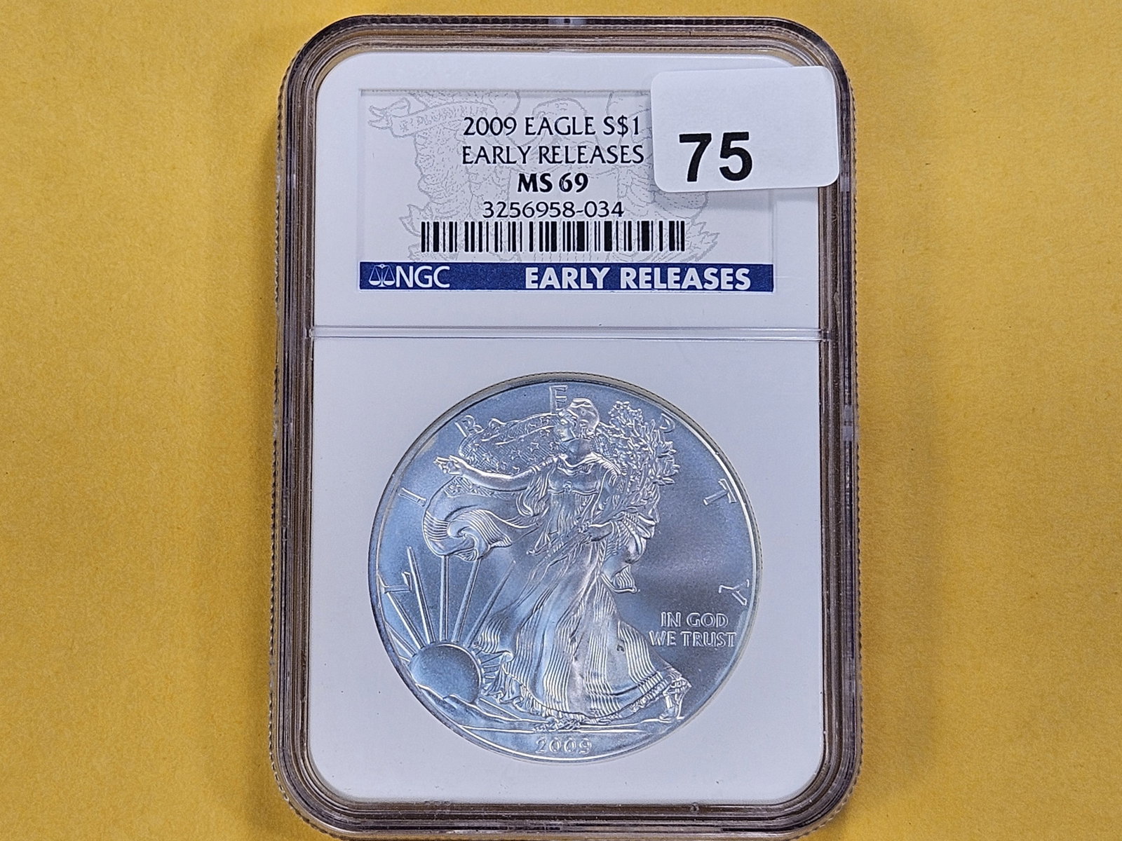SUPERB GEM! NGC 2009 American Silver Eagle in Mint State 69 - 2