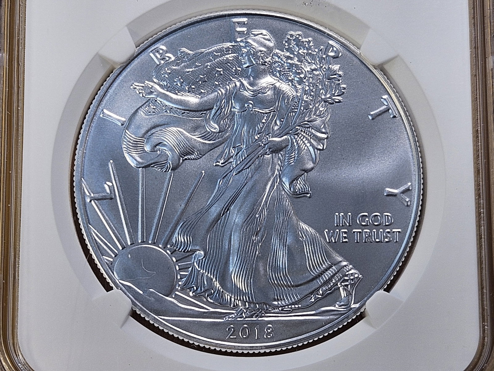 PERFECT GRADE! 2018 American Silver Eagle in Mint State 70: Perfect Grade!