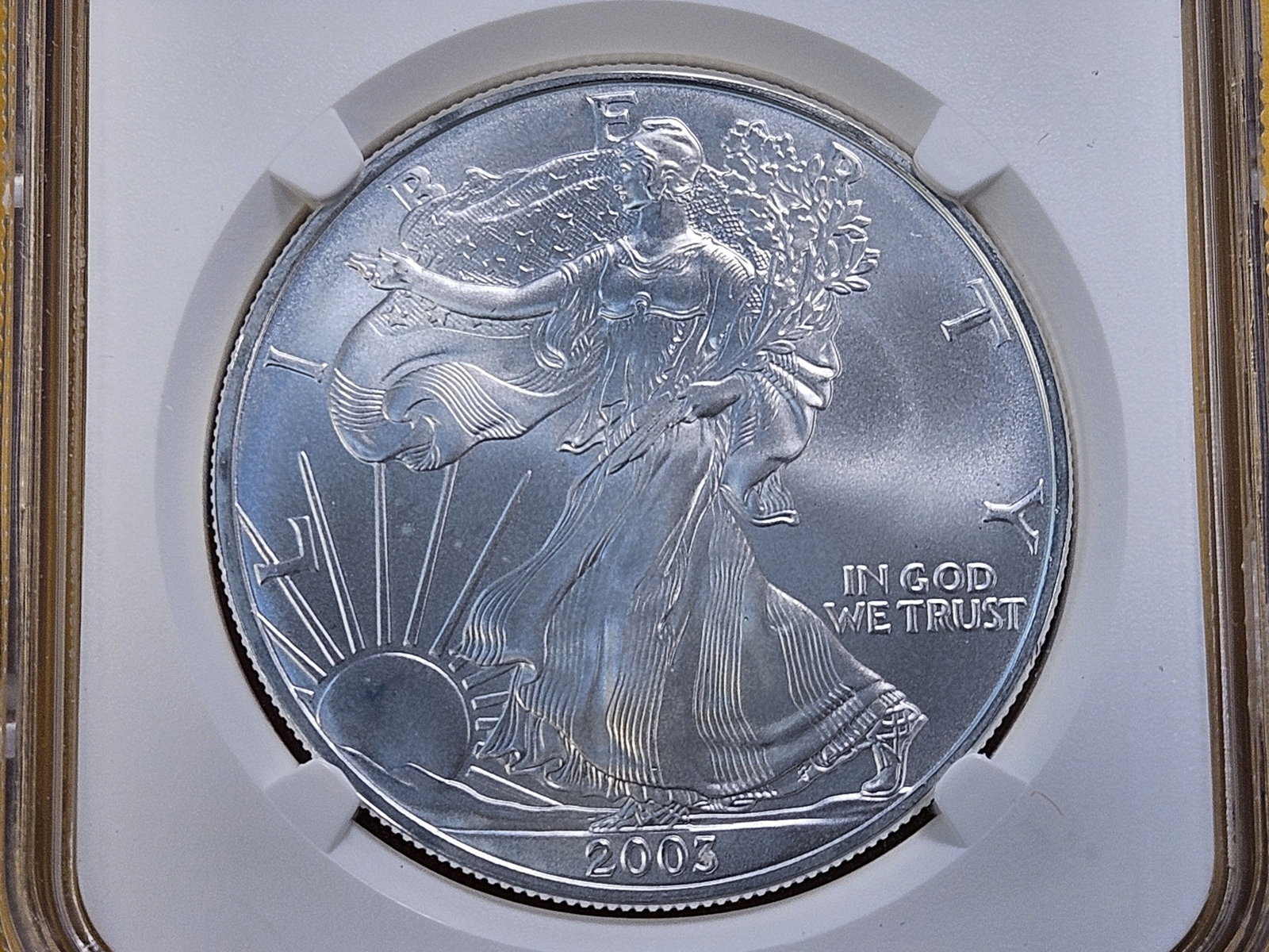 SUPERB GEM! 2003 American Silver Eagle in Mint State 69: Almost Perfect!