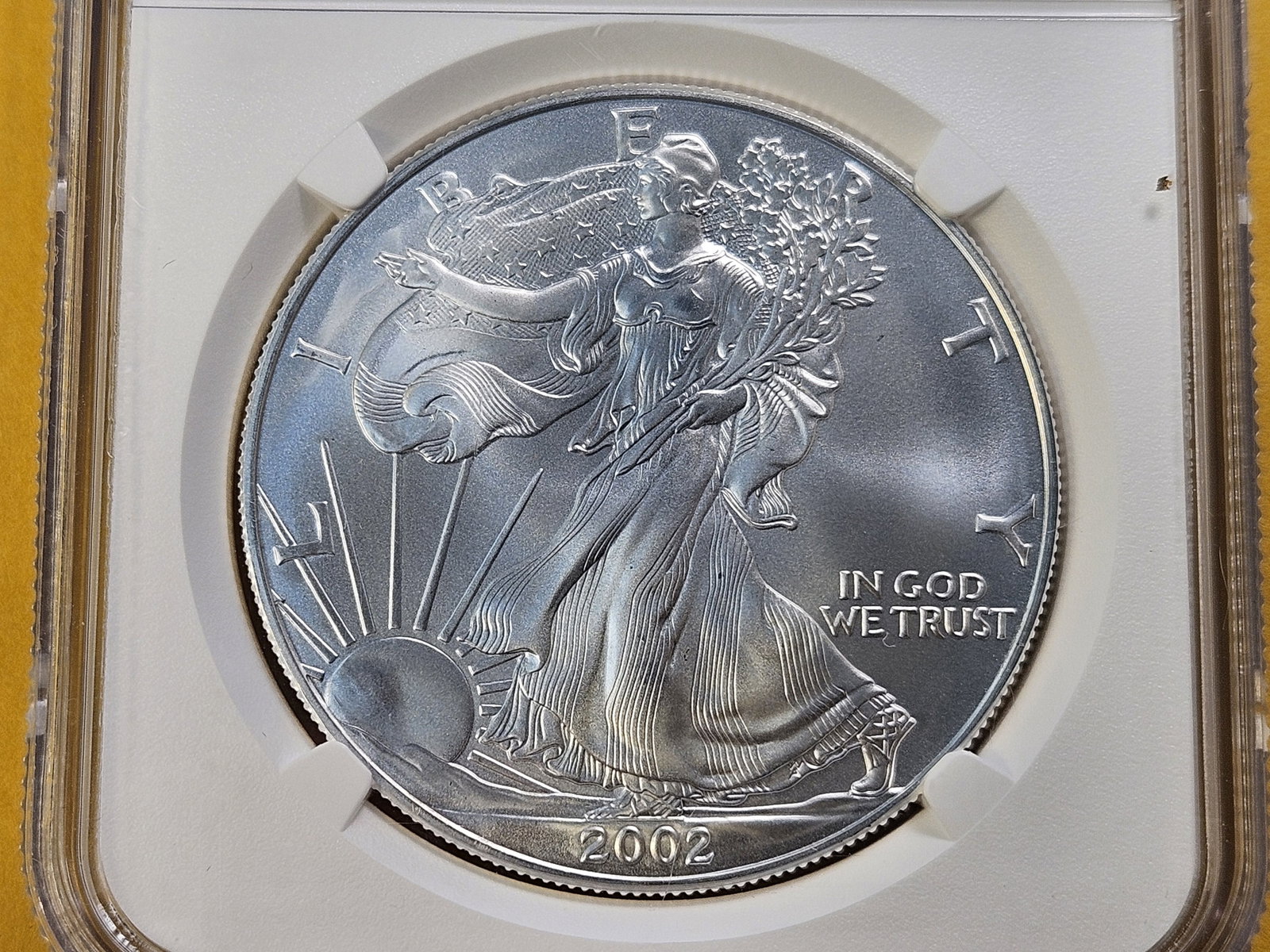 SUPERB GEM! 2002 American Silver Eagle in Mint State 69: Super Gemmy!