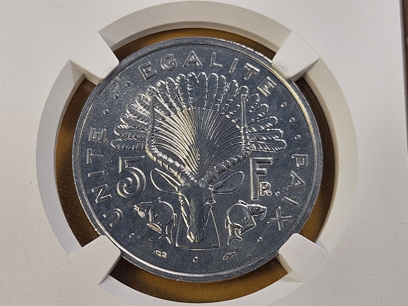 Two NGC Slabbed Ungraded Foreign Coins - 2