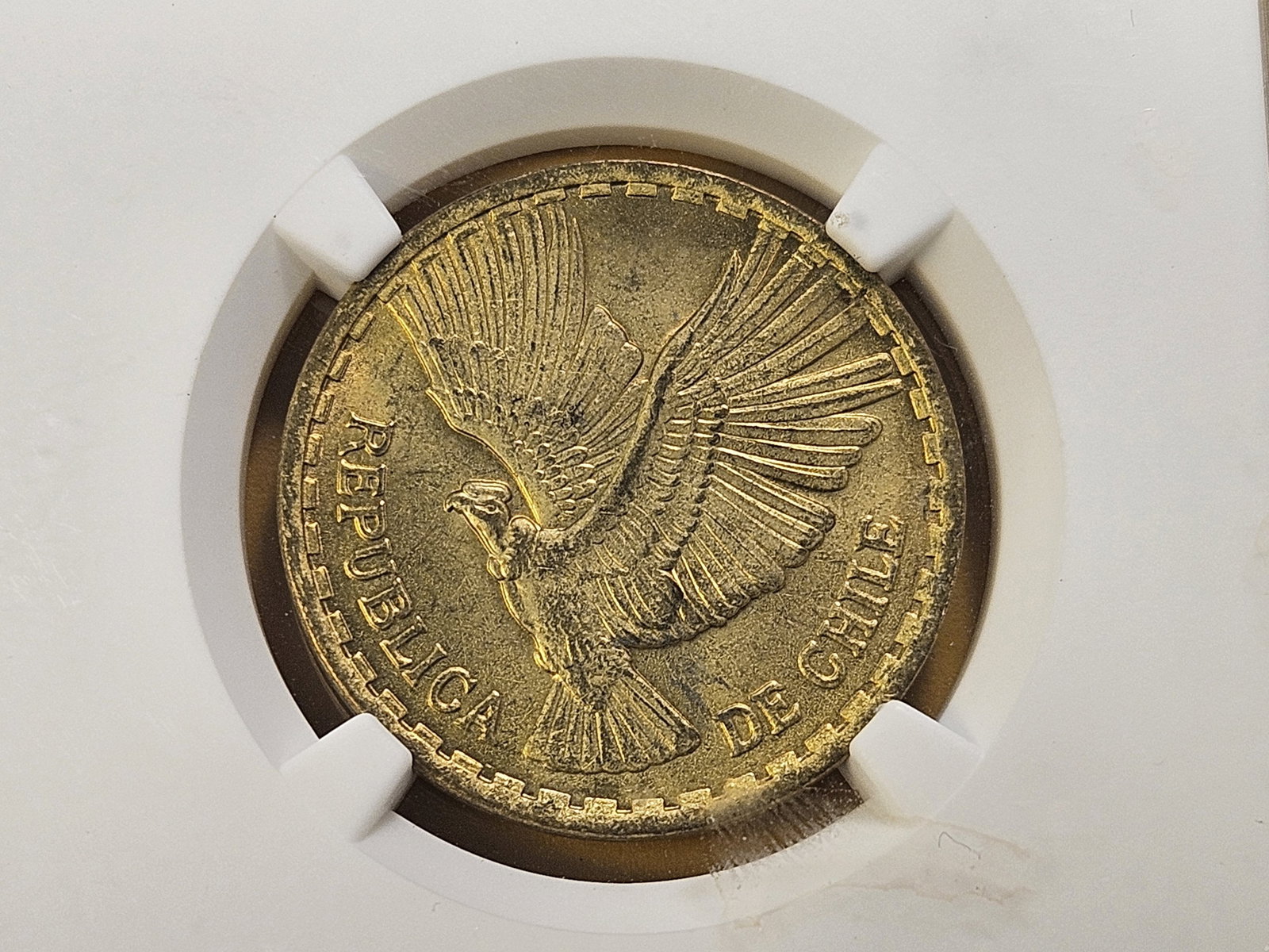 Two NGC Slabbed Ungraded Foreign Coins - 3