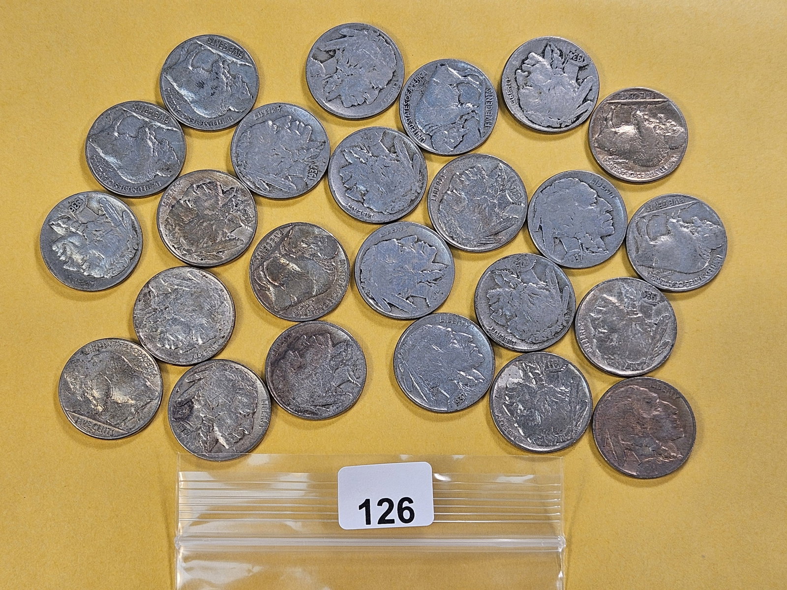 Twenty-four Mixed Buffalo Nickels: Assorted Dates and Grades