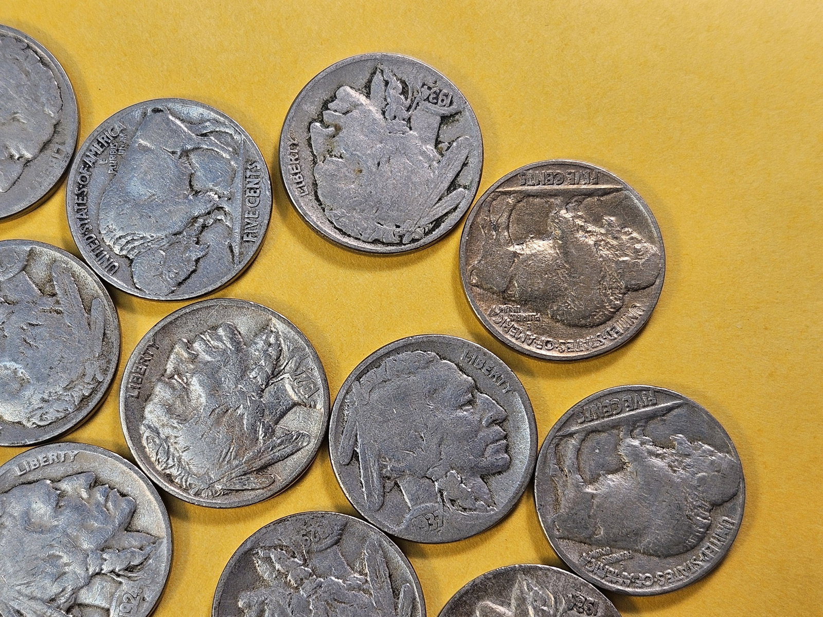 Twenty-four Mixed Buffalo Nickels - 3