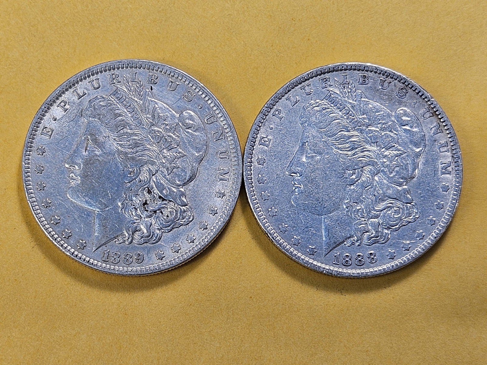 Two About Uncirculated Morgan Silver Dollars - 2
