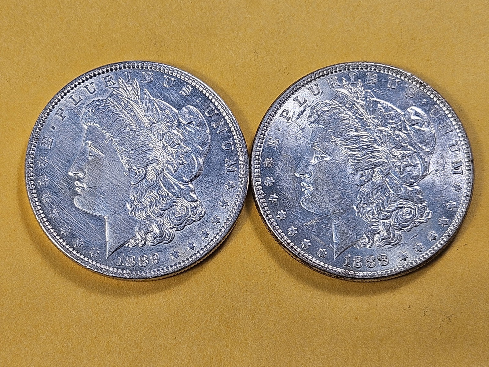 Two About Uncirculated Morgan Silver Dollars - 2