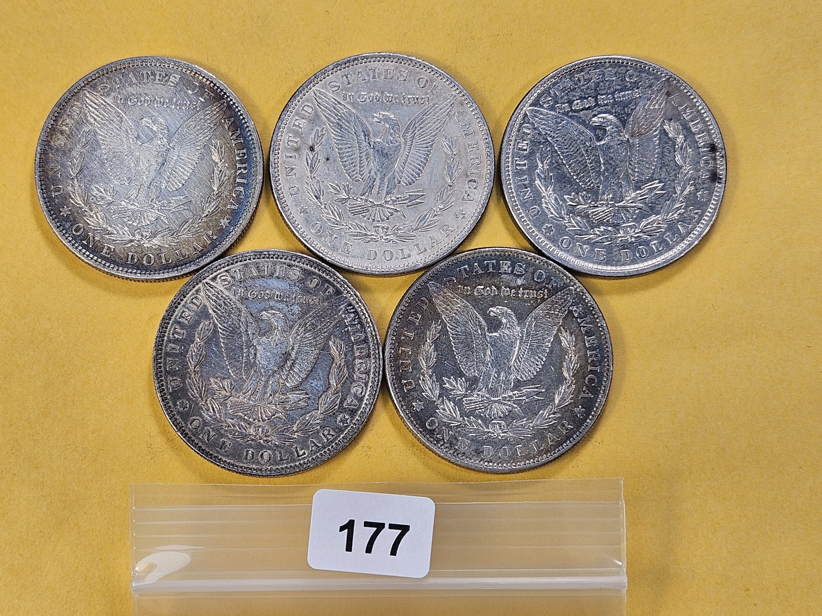 Five Morgan Silver Dollars - 3
