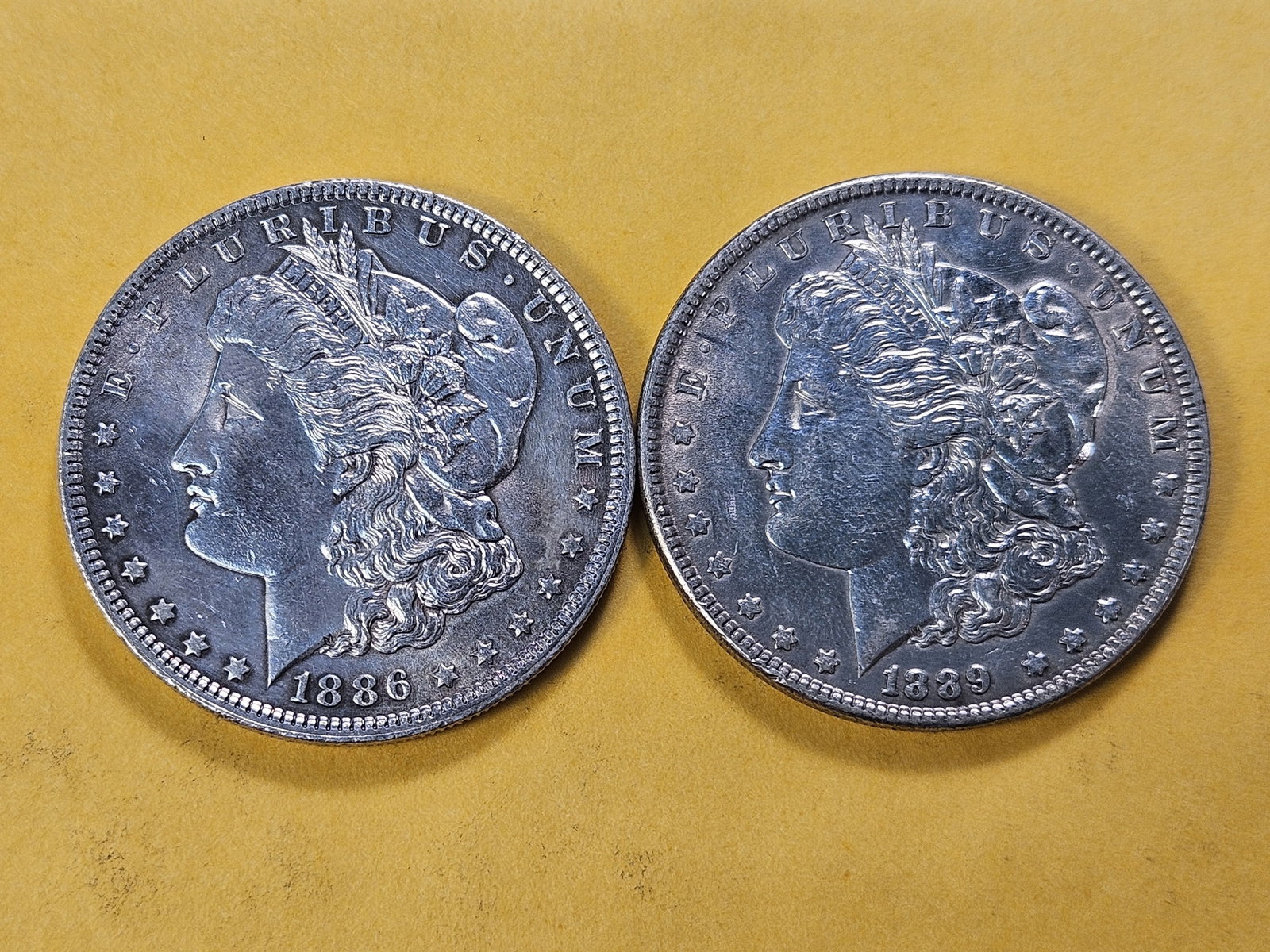 Two About Uncirculated Morgan Silver Dollars - 2