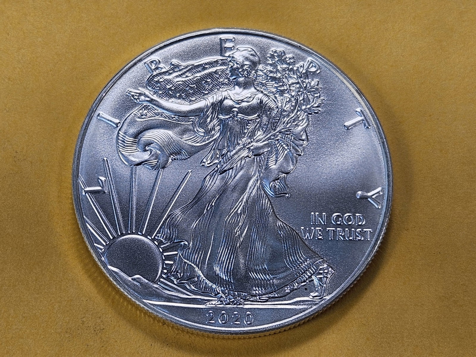 GEM Brilliant Uncirculated 2020 American Silver Eagle: Roll Fresh!