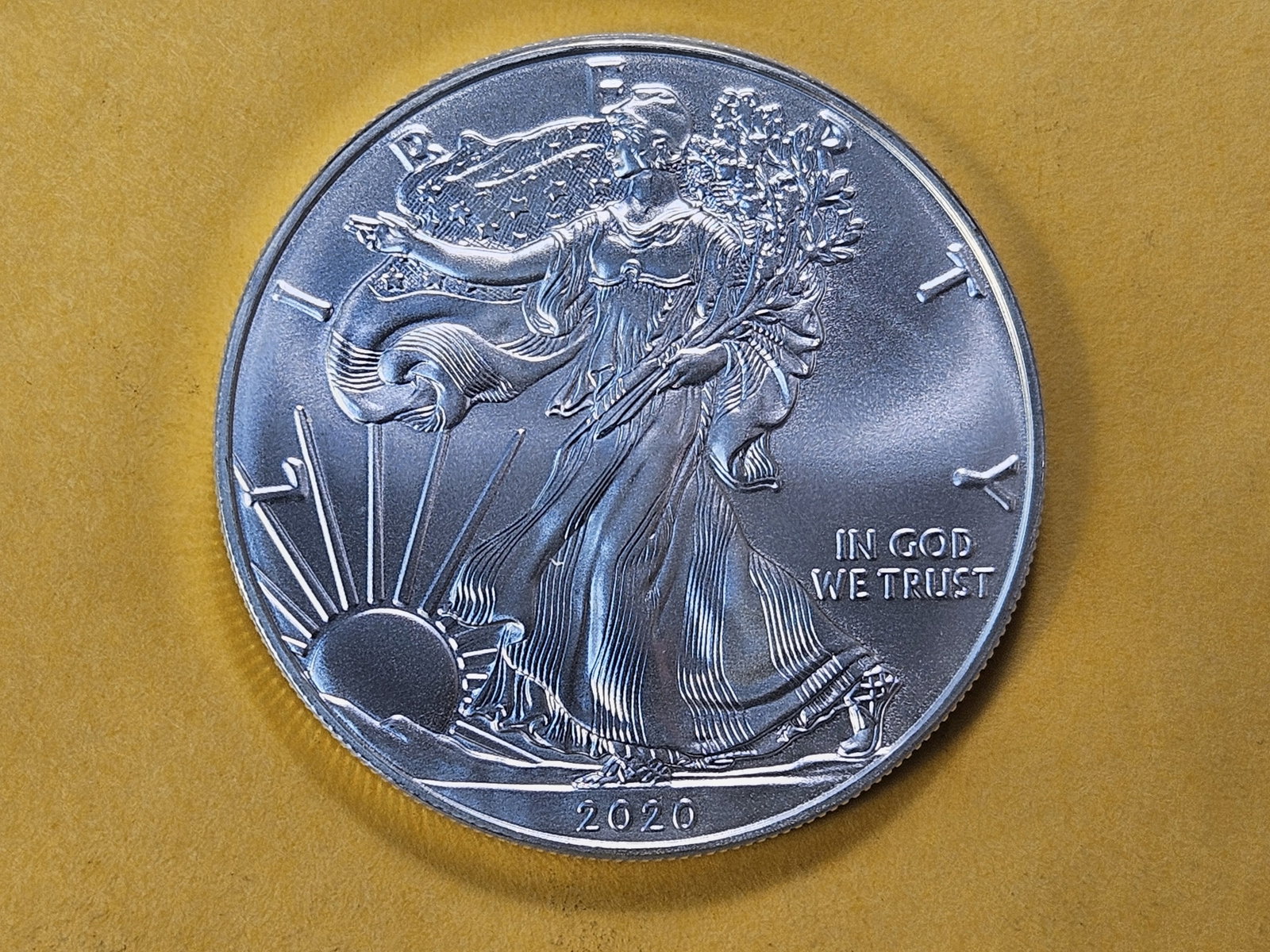 GEM Brilliant Uncirculated 2020 American Silver Eagle (1 of 4)