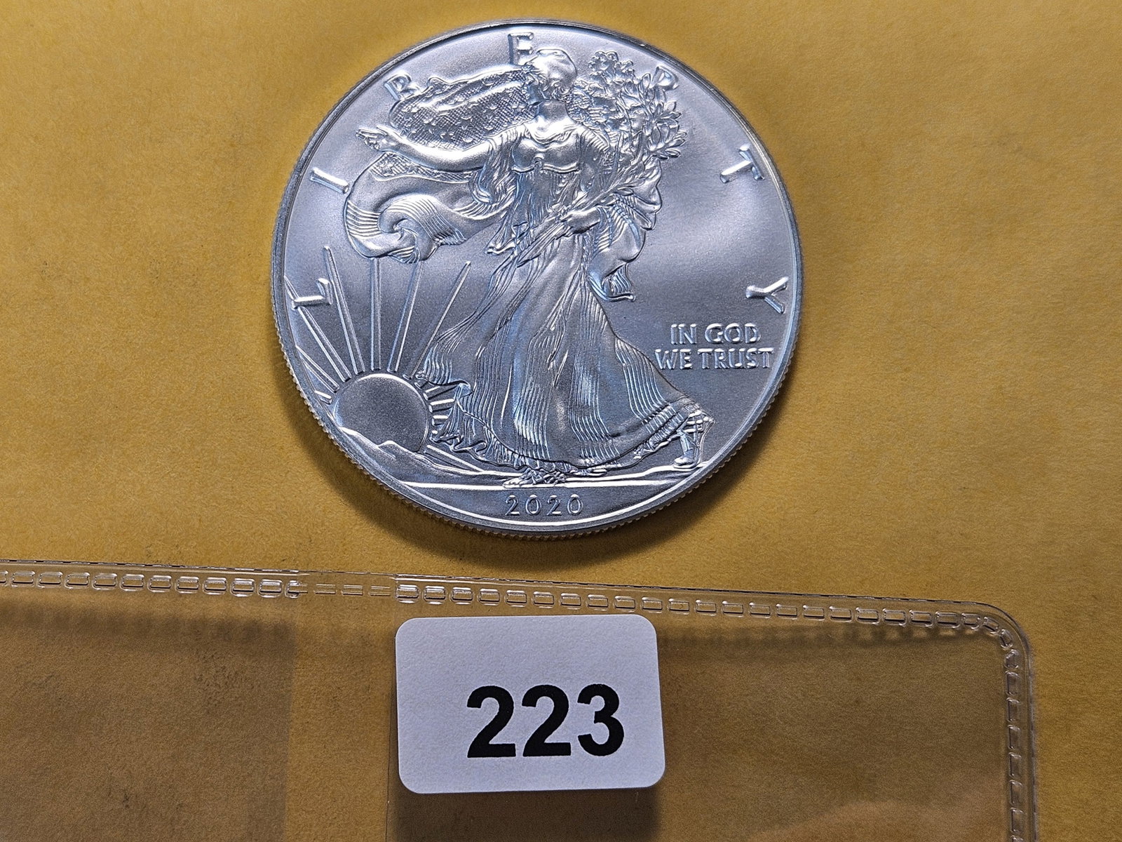 GEM Brilliant Uncirculated 2020 American Silver Eagle - 2